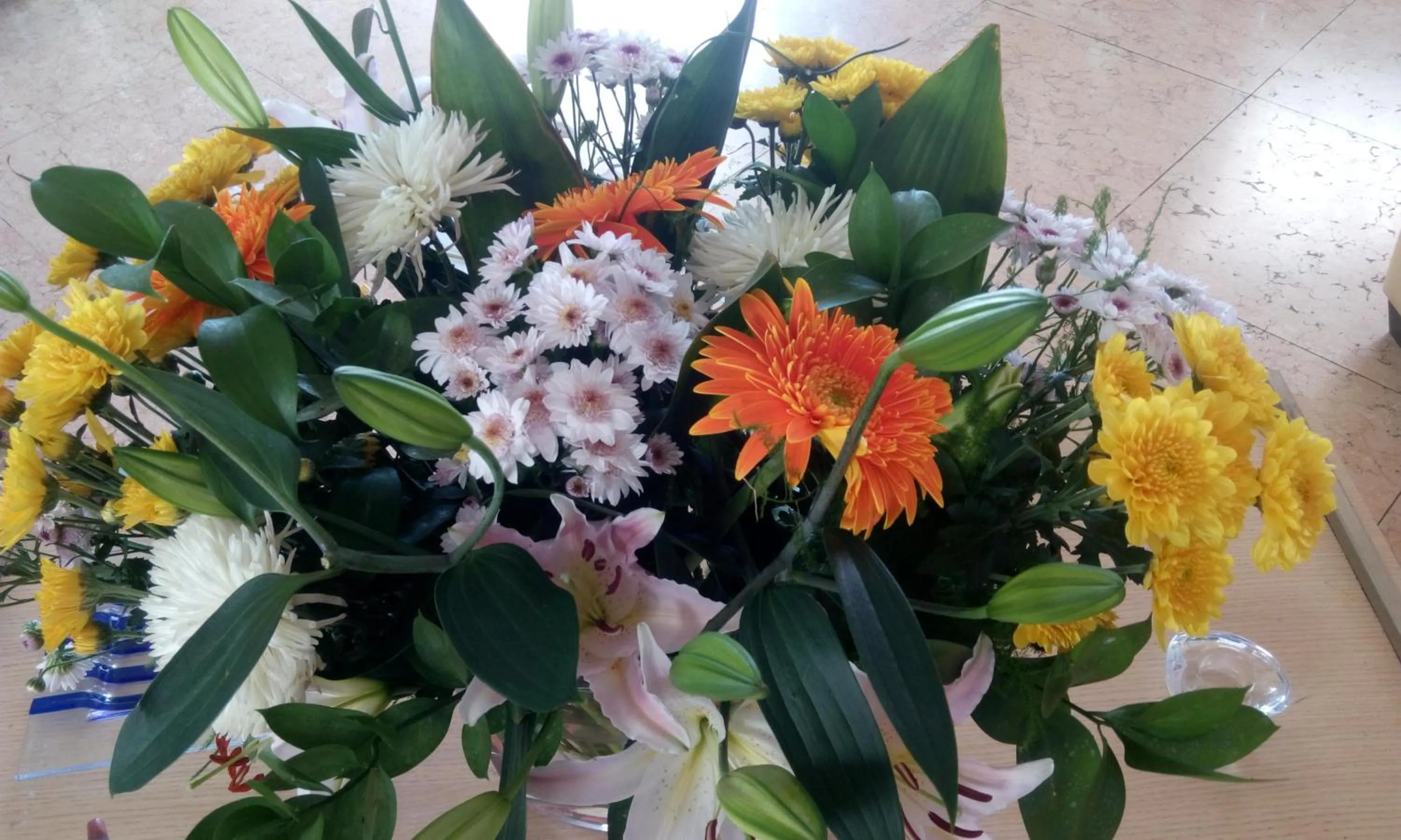 Garden in ERIA RESORT for people with special abilities