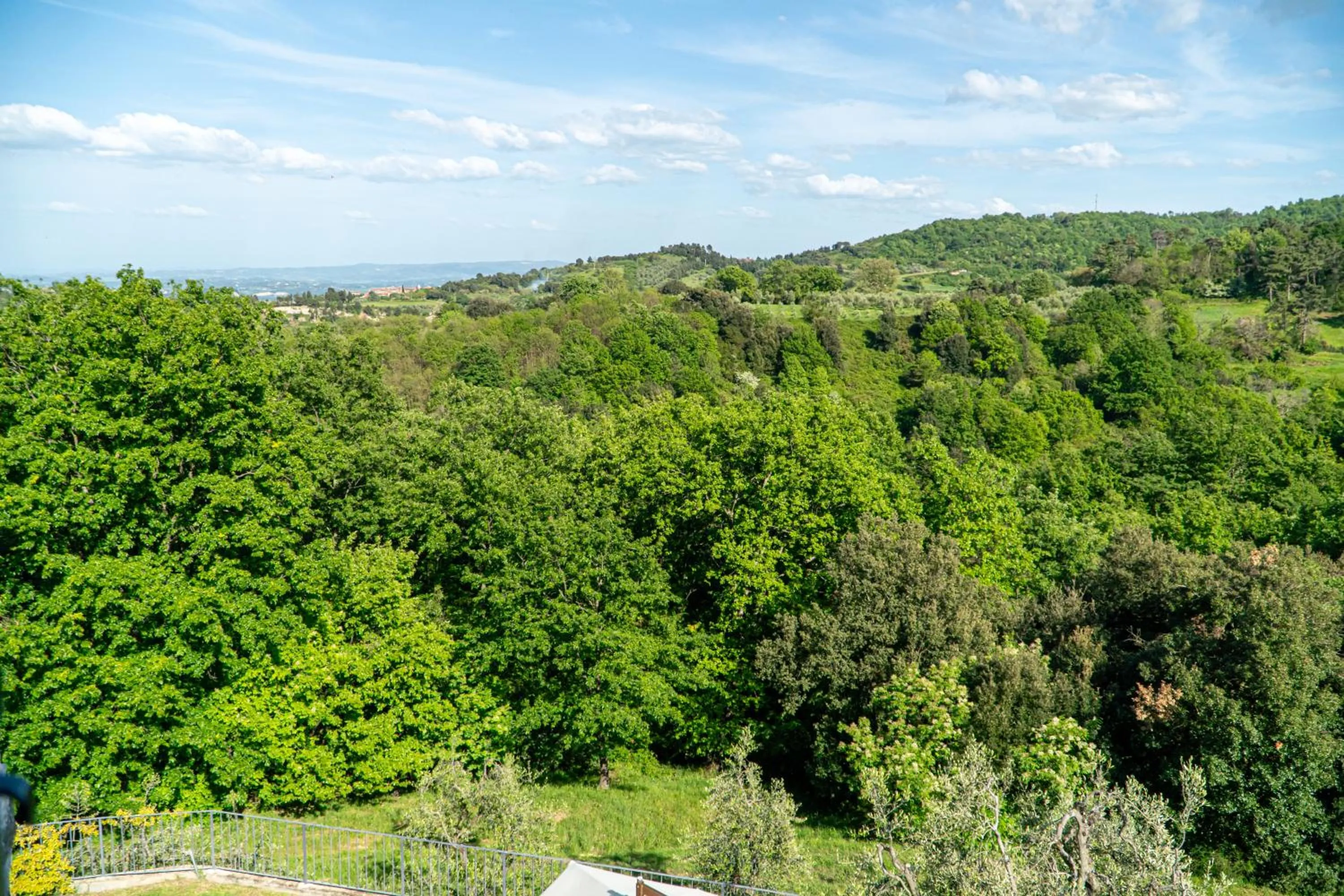 Natural landscape in Piccozzo agritour
