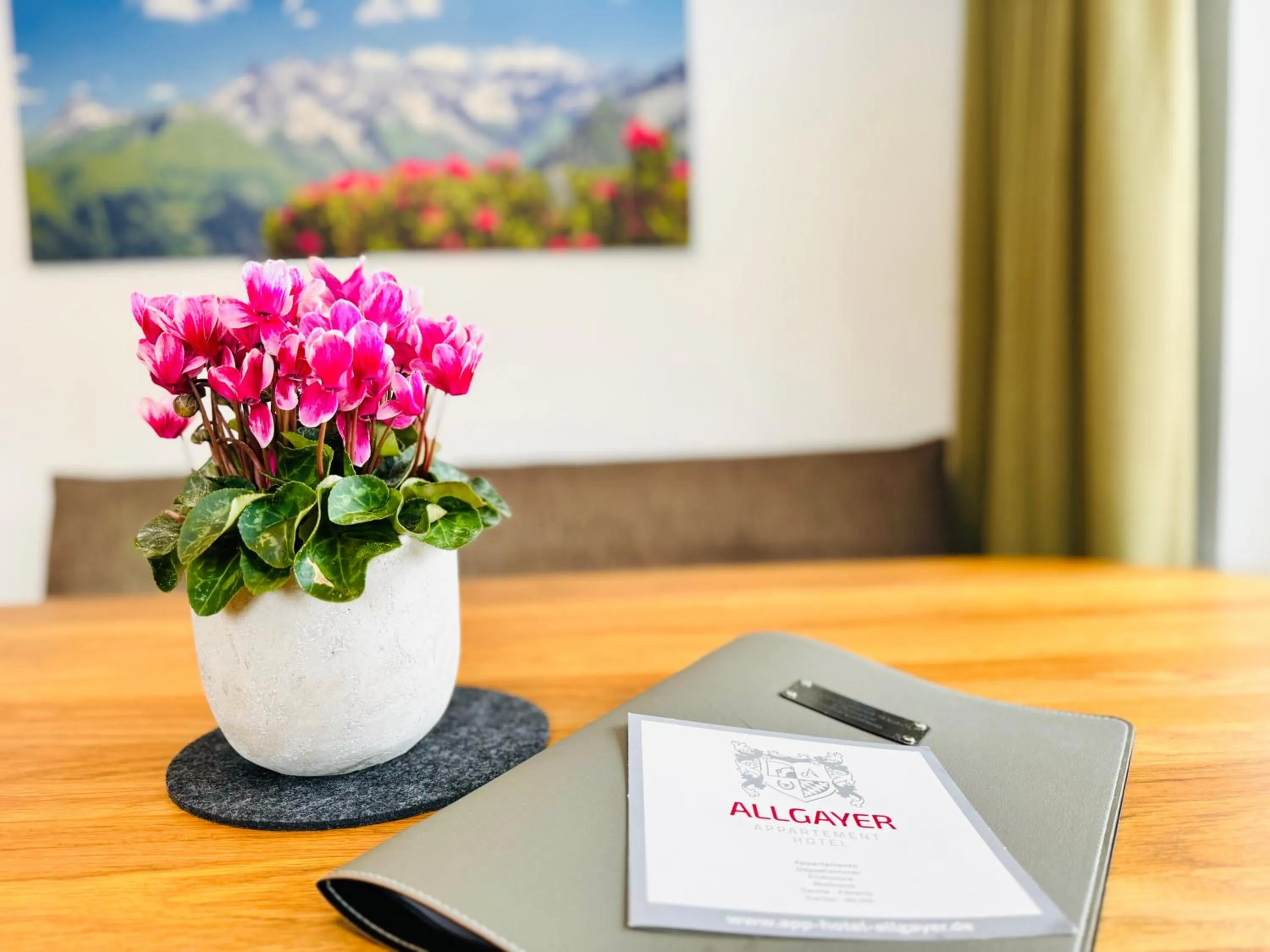 Appartement-Hotel-Allgayer