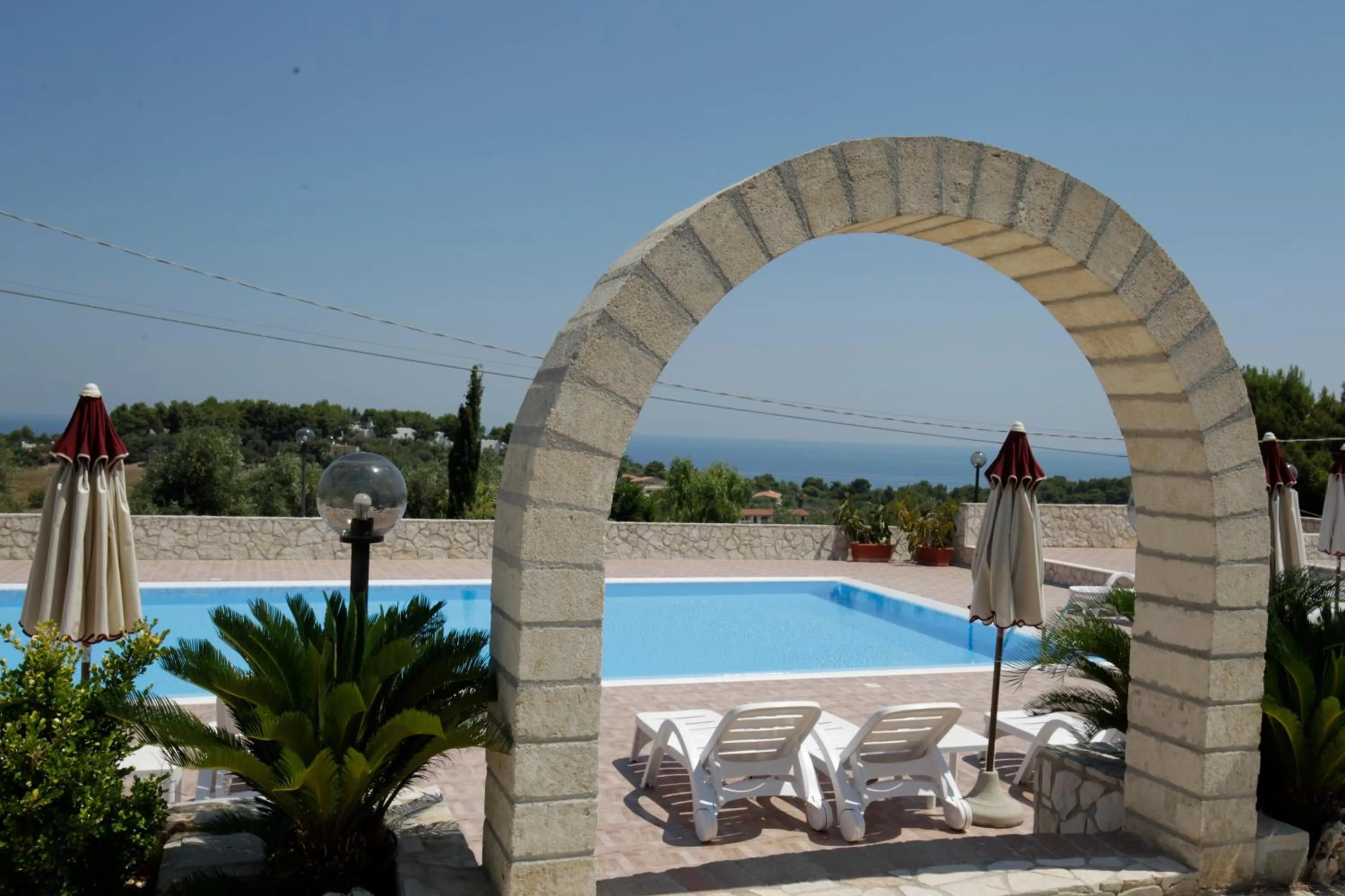 Swimming pool in B&B Hibiscus