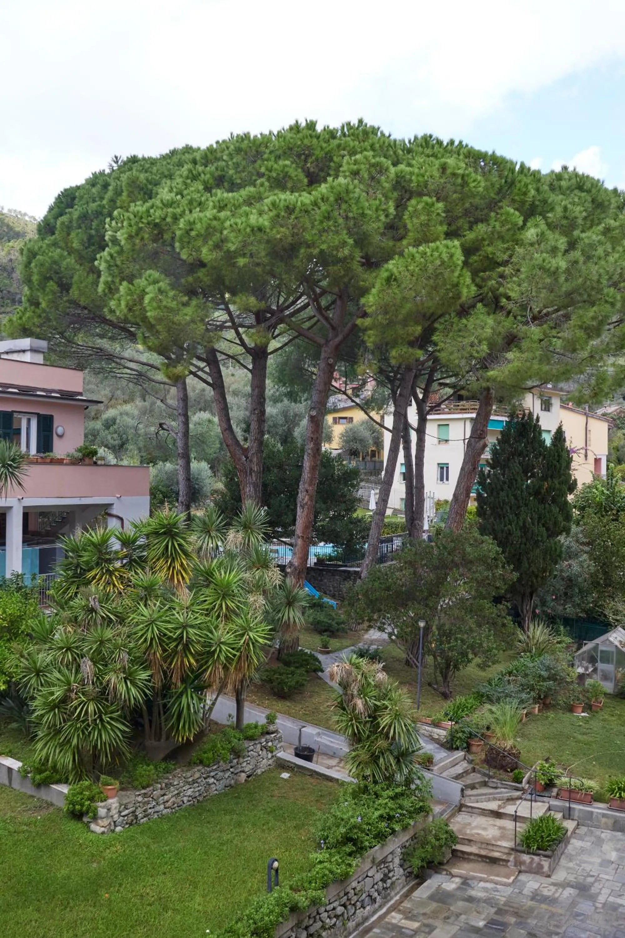 Garden in Hotel Villa Adriana