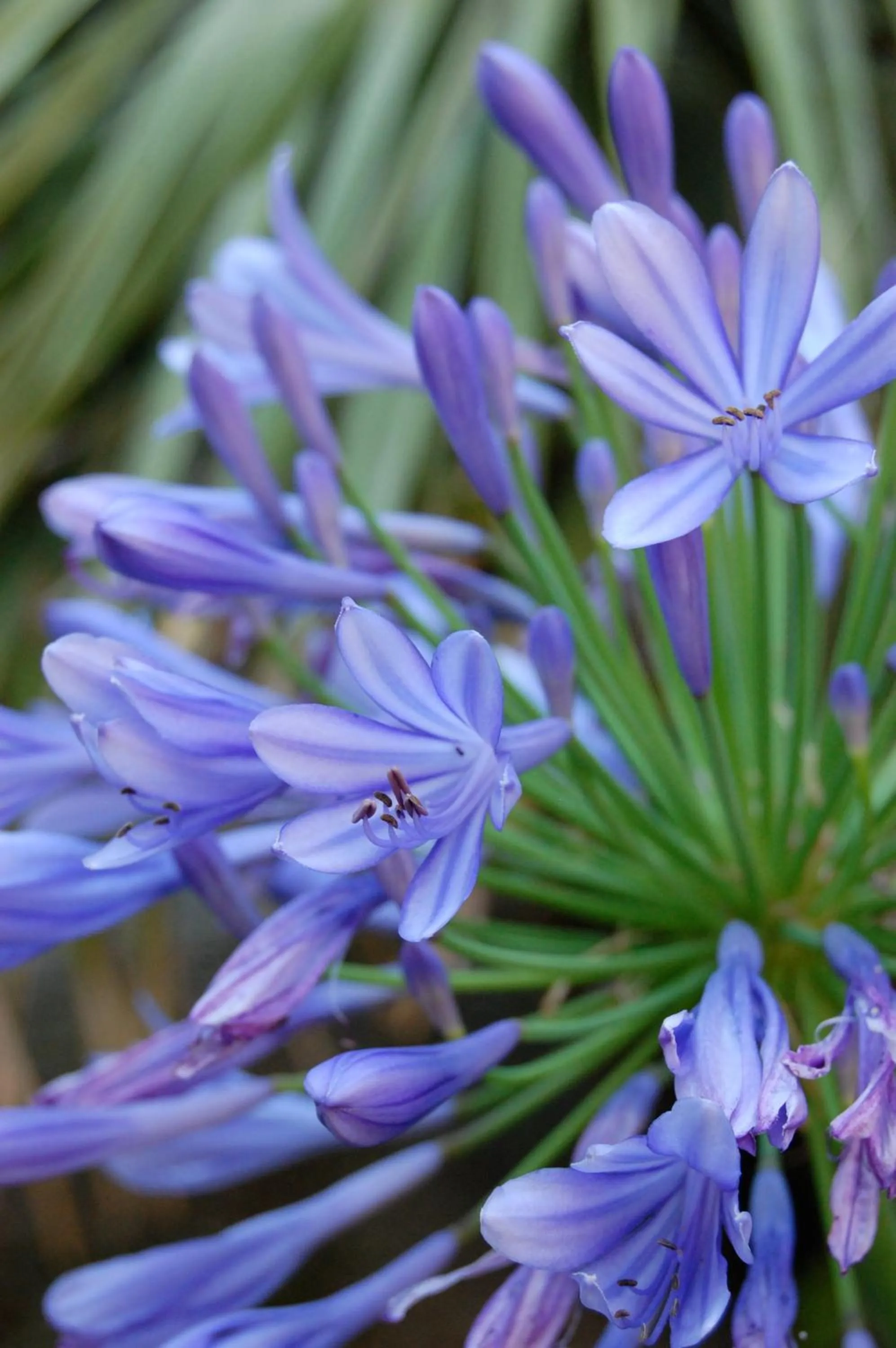 Spring in Hotel Villa Adriana