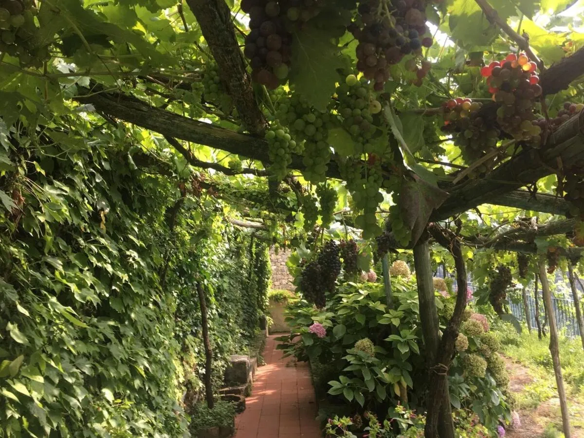 Garden in Residence Le Villette