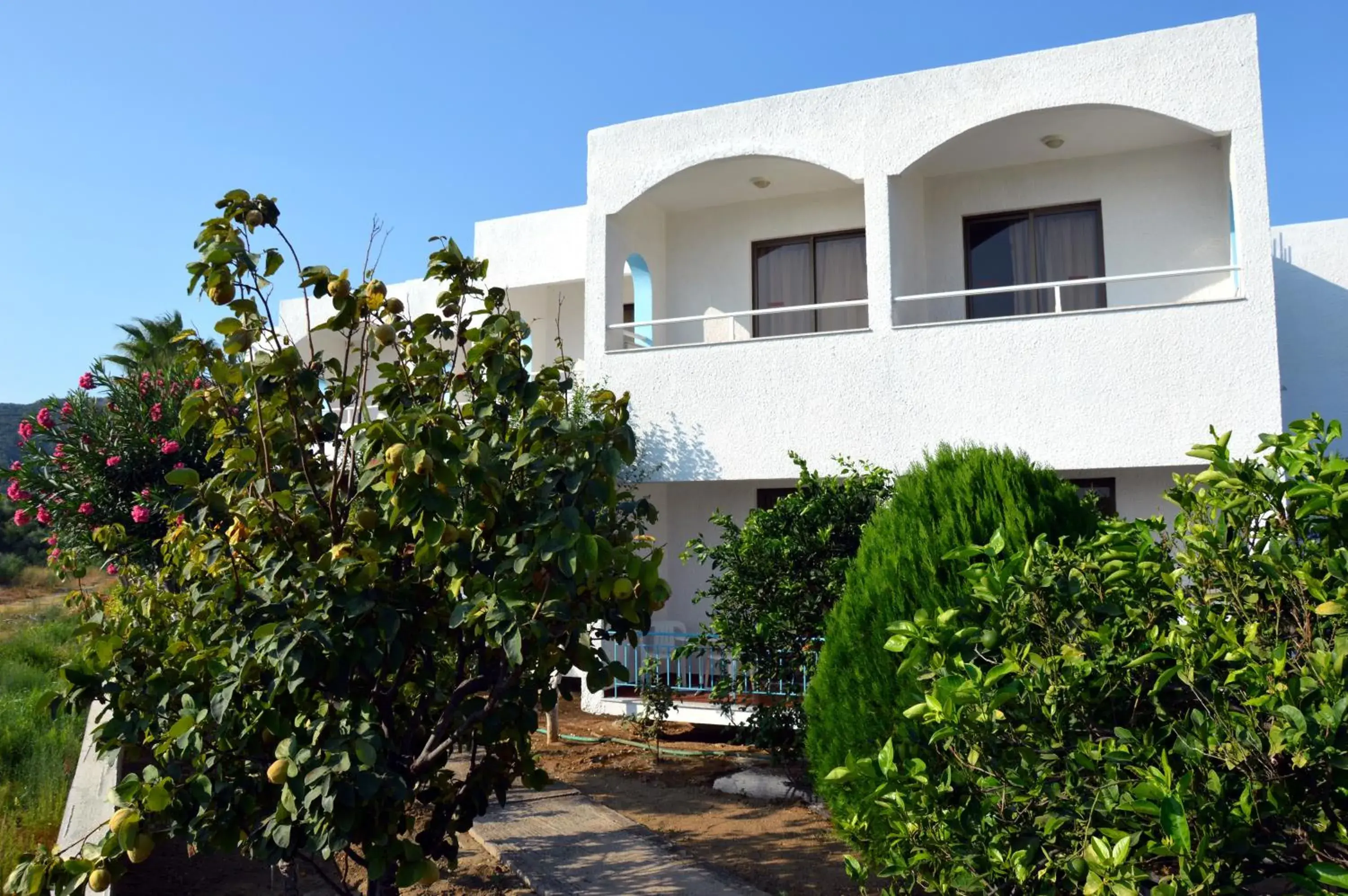 View (from property/room) in Muses Hotel View (from property/room) in Muses Hotel