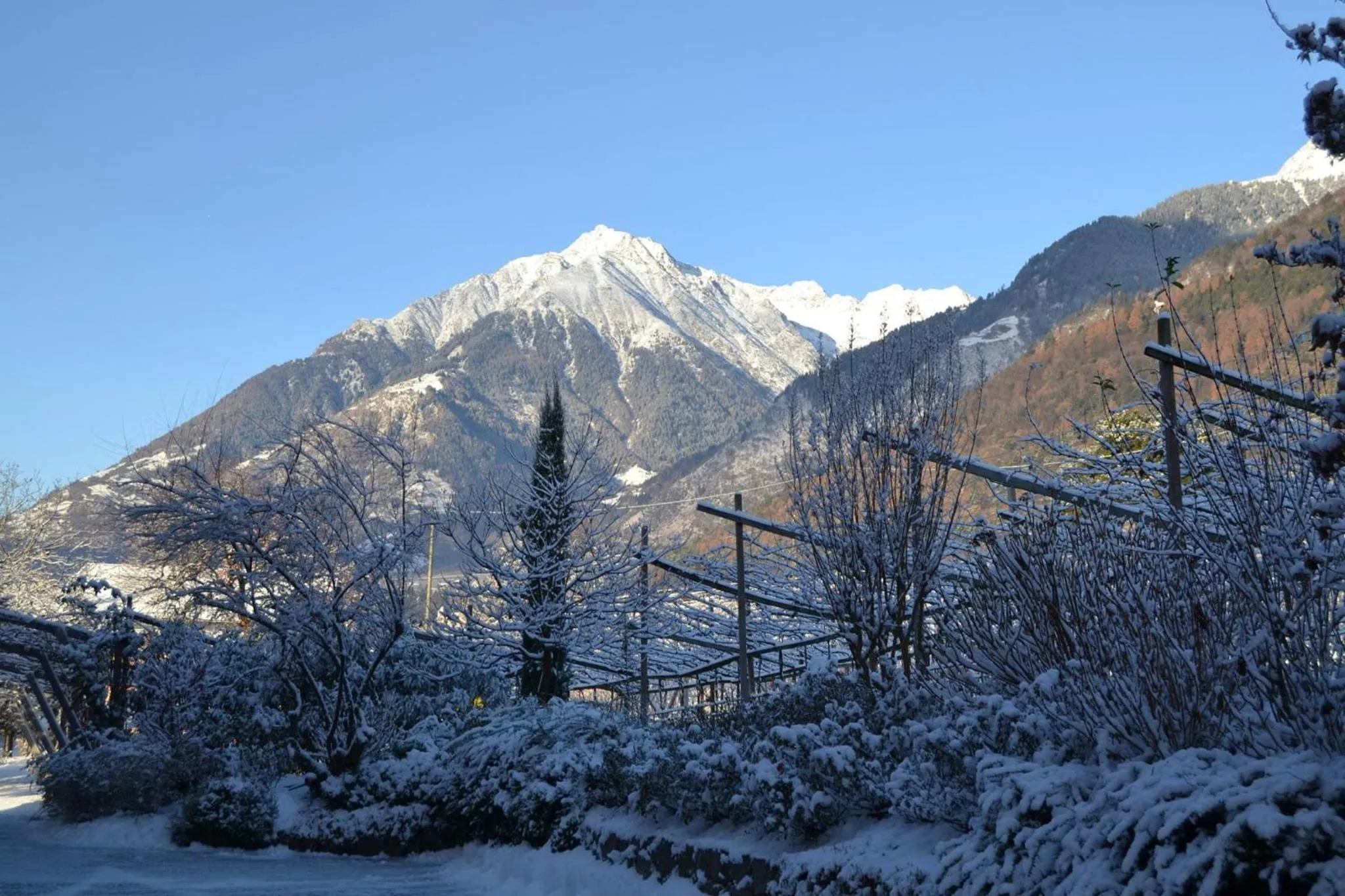 Natural landscape in Alagundis Apartment Residence