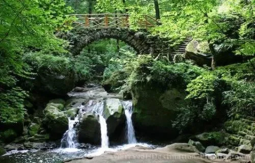 Natural landscape in B&B Joy's