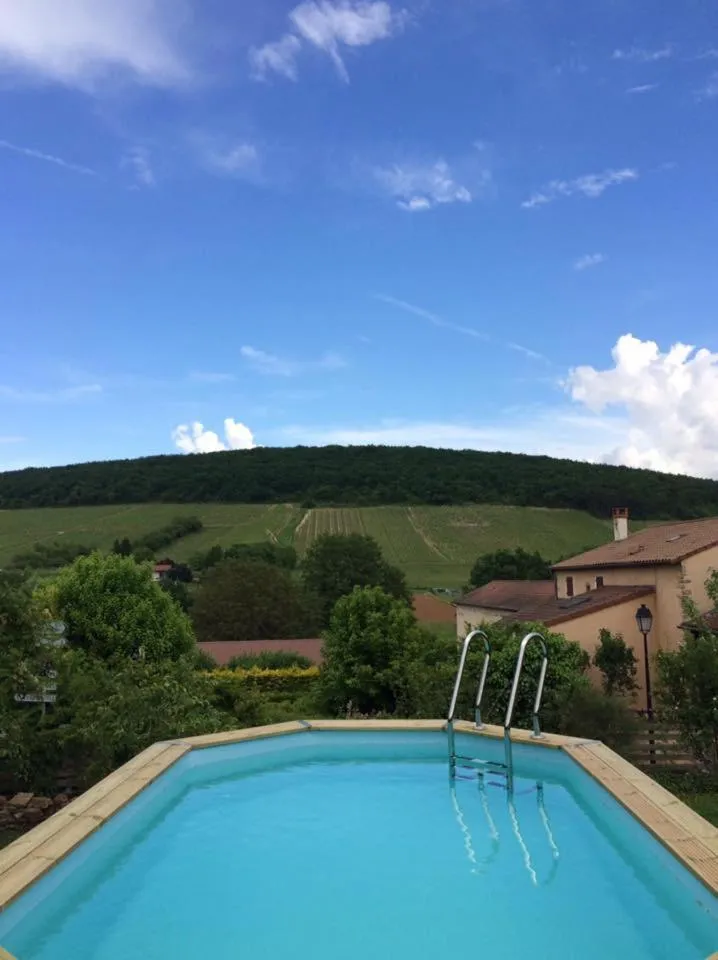 Swimming pool in Les Portails Bleus