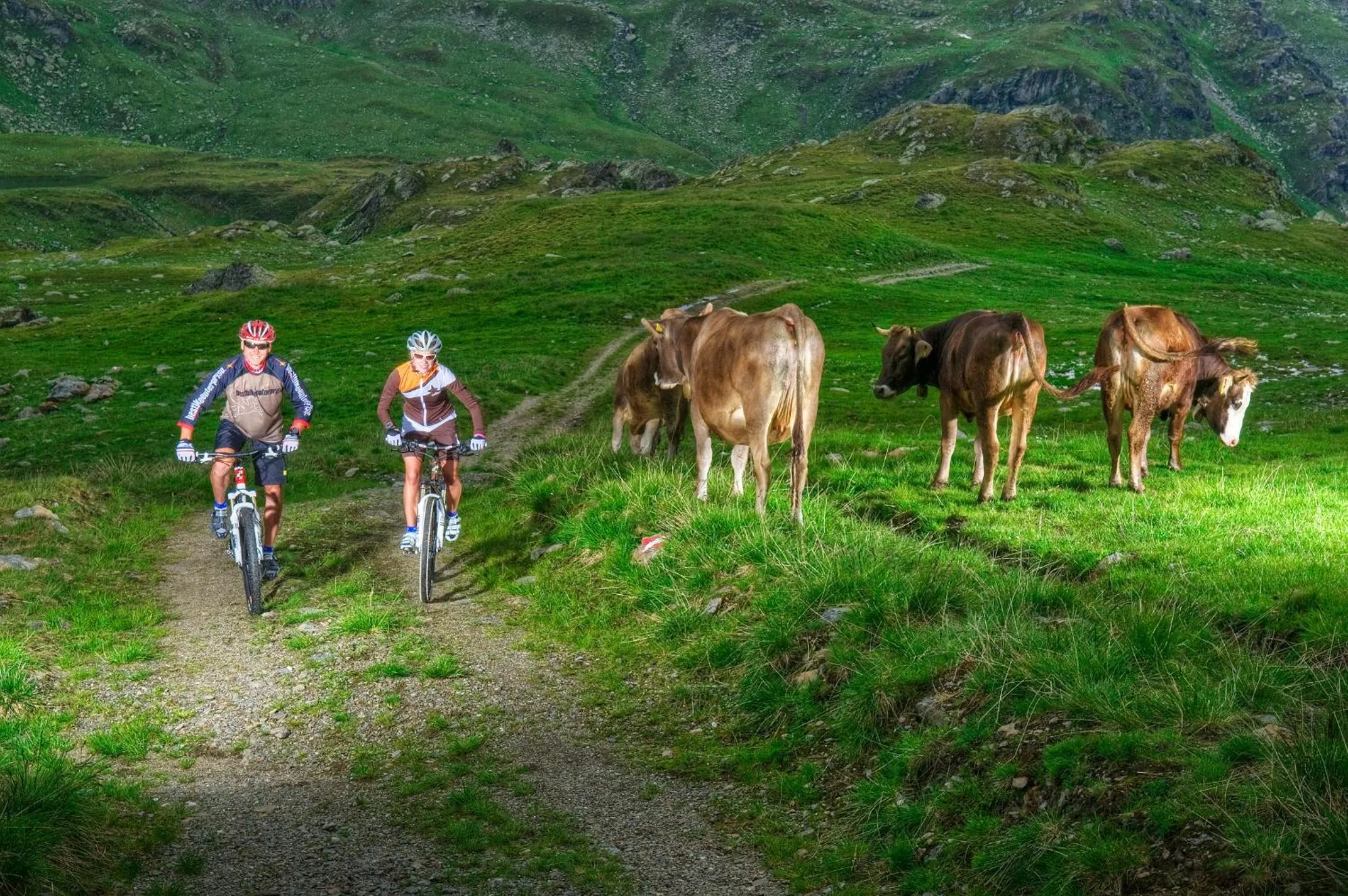 Cycling in Der Mohrenwirt ****