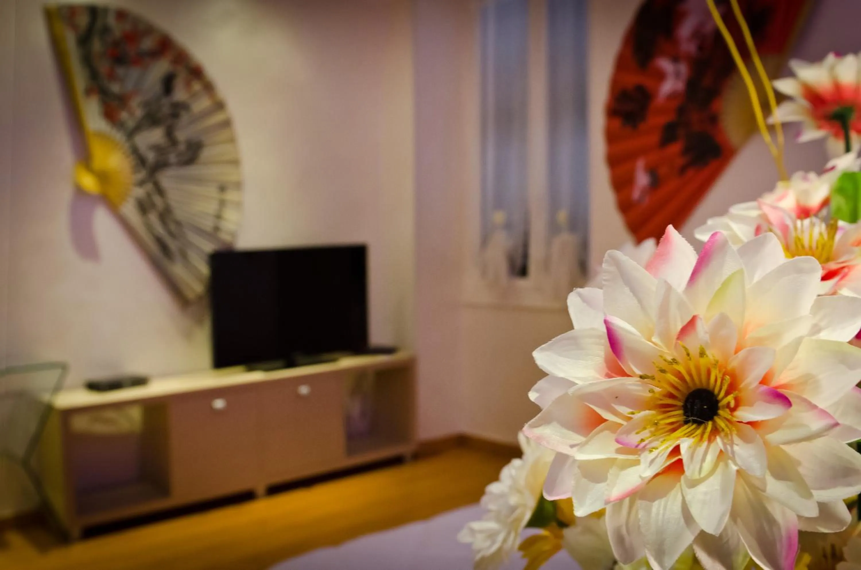 TV and multimedia in Via Palazzo Sanremo