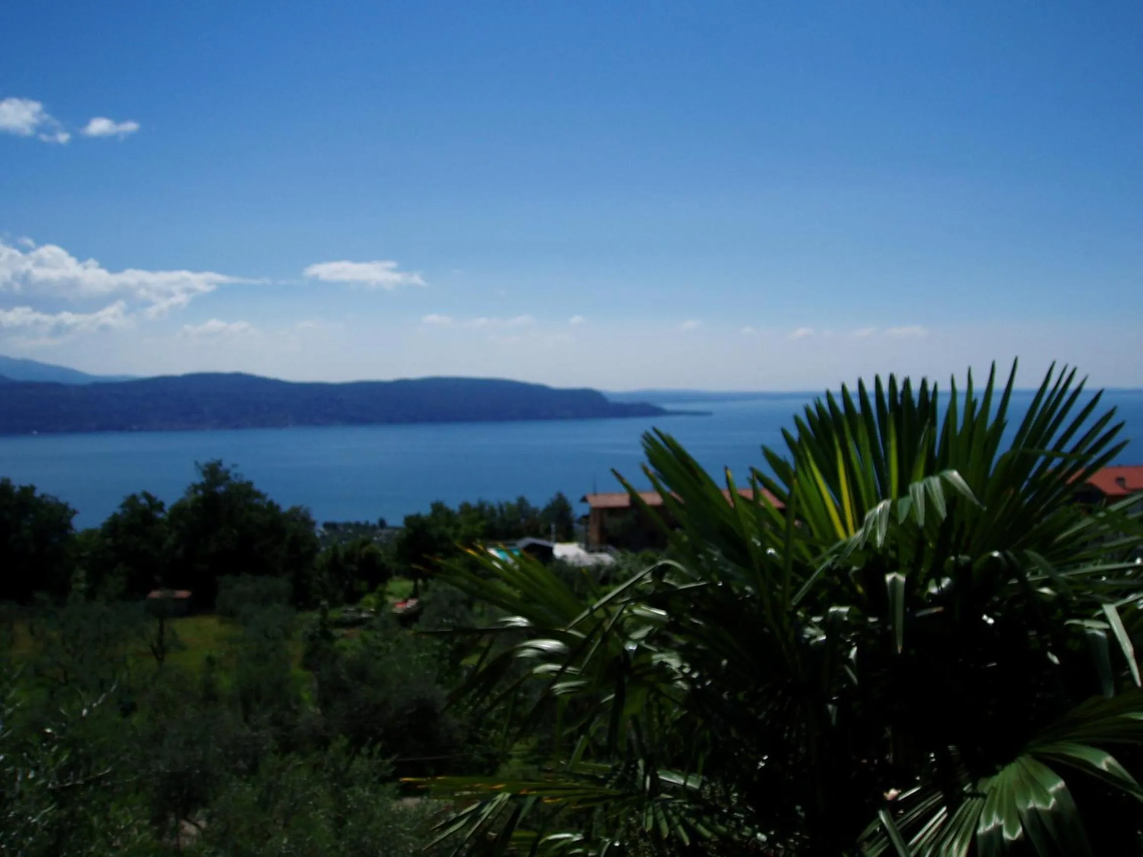 View (from property/room) in Caselli Vigole al Sole