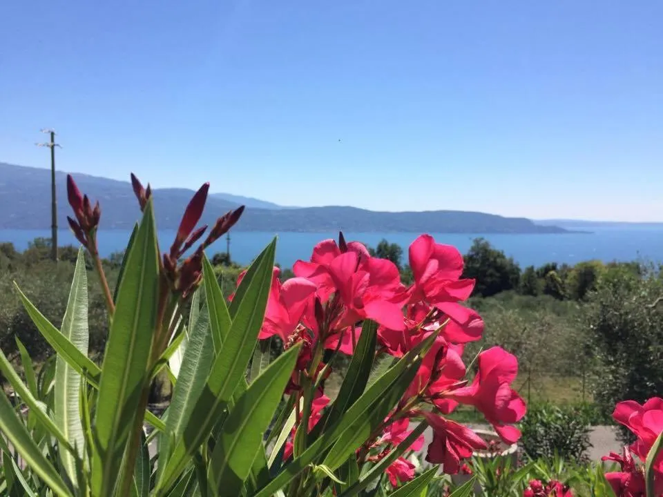 View (from property/room) in Caselli Vigole al Sole