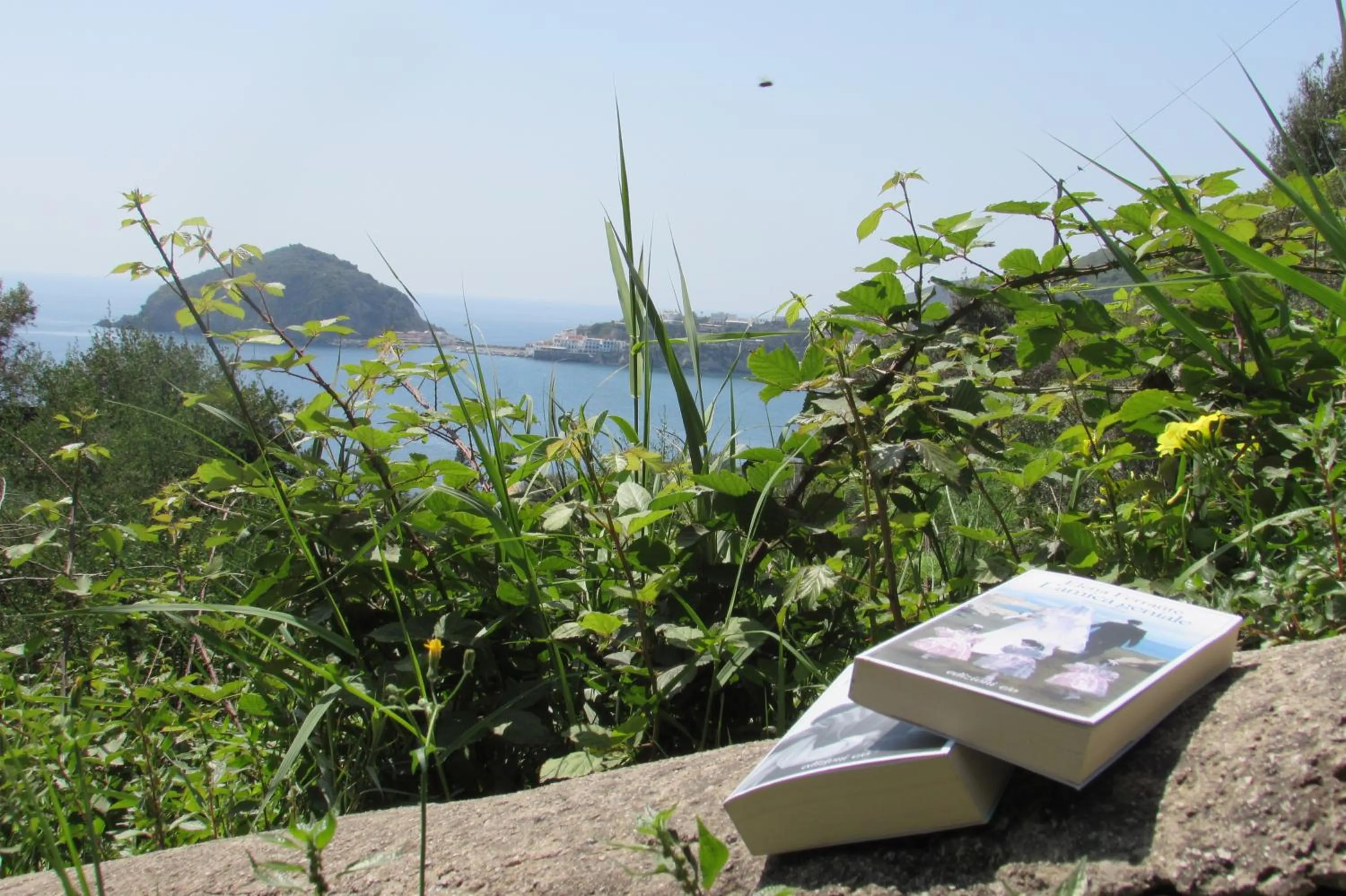 Library in Casa Antonio