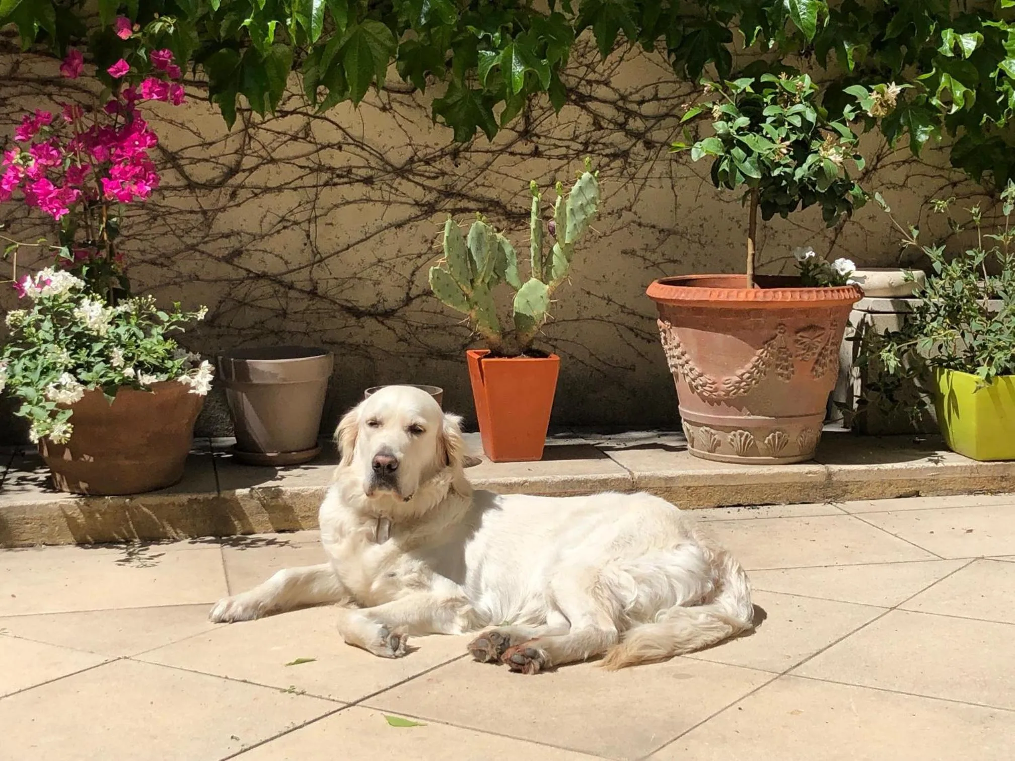 Property building in B&B Villa de Margot