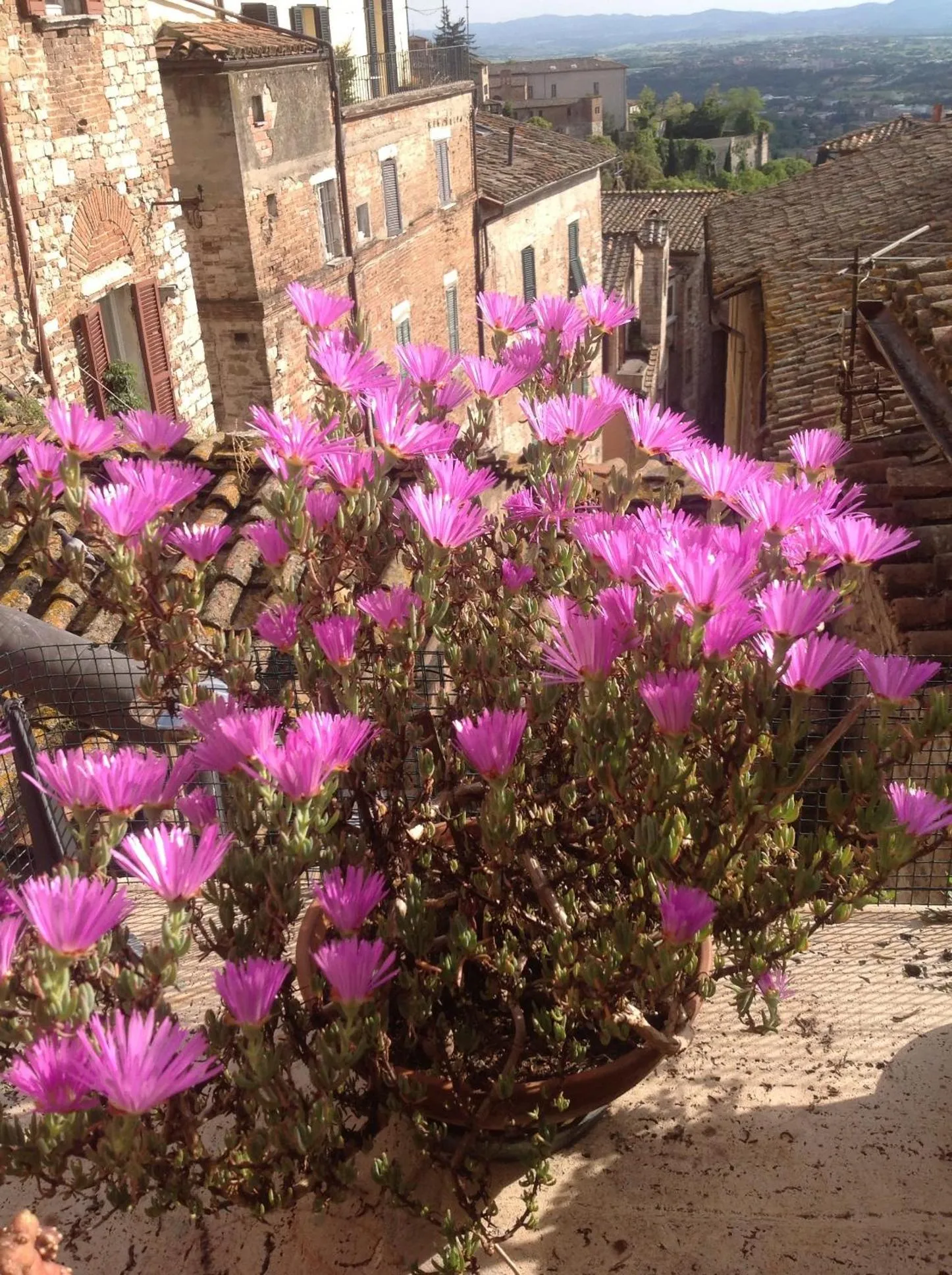 Decorative detail in Albergo Anna