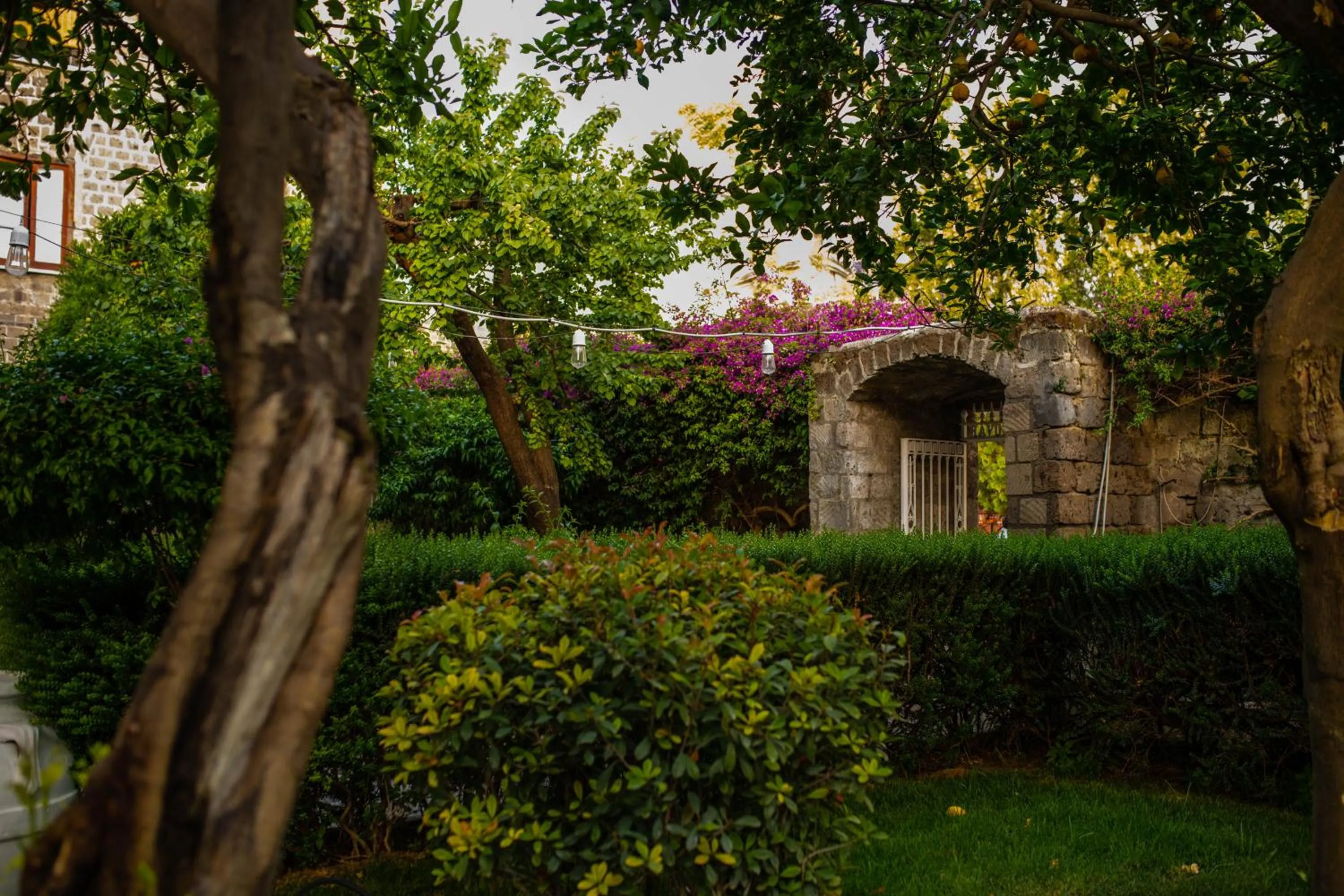 Garden in Artis Domus Relais & Spa