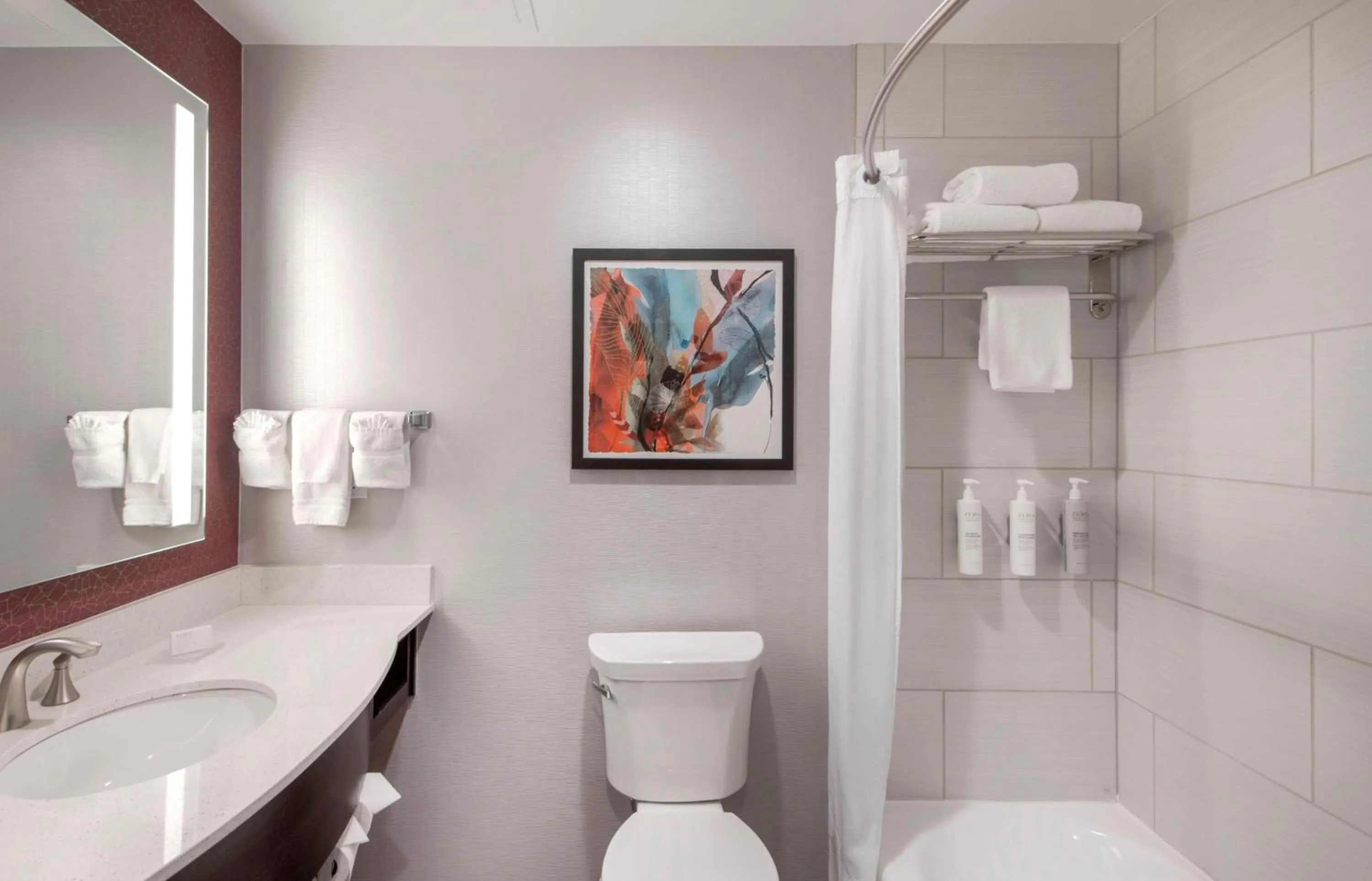 Bathroom in Hilton Garden Inn Raleigh Cary