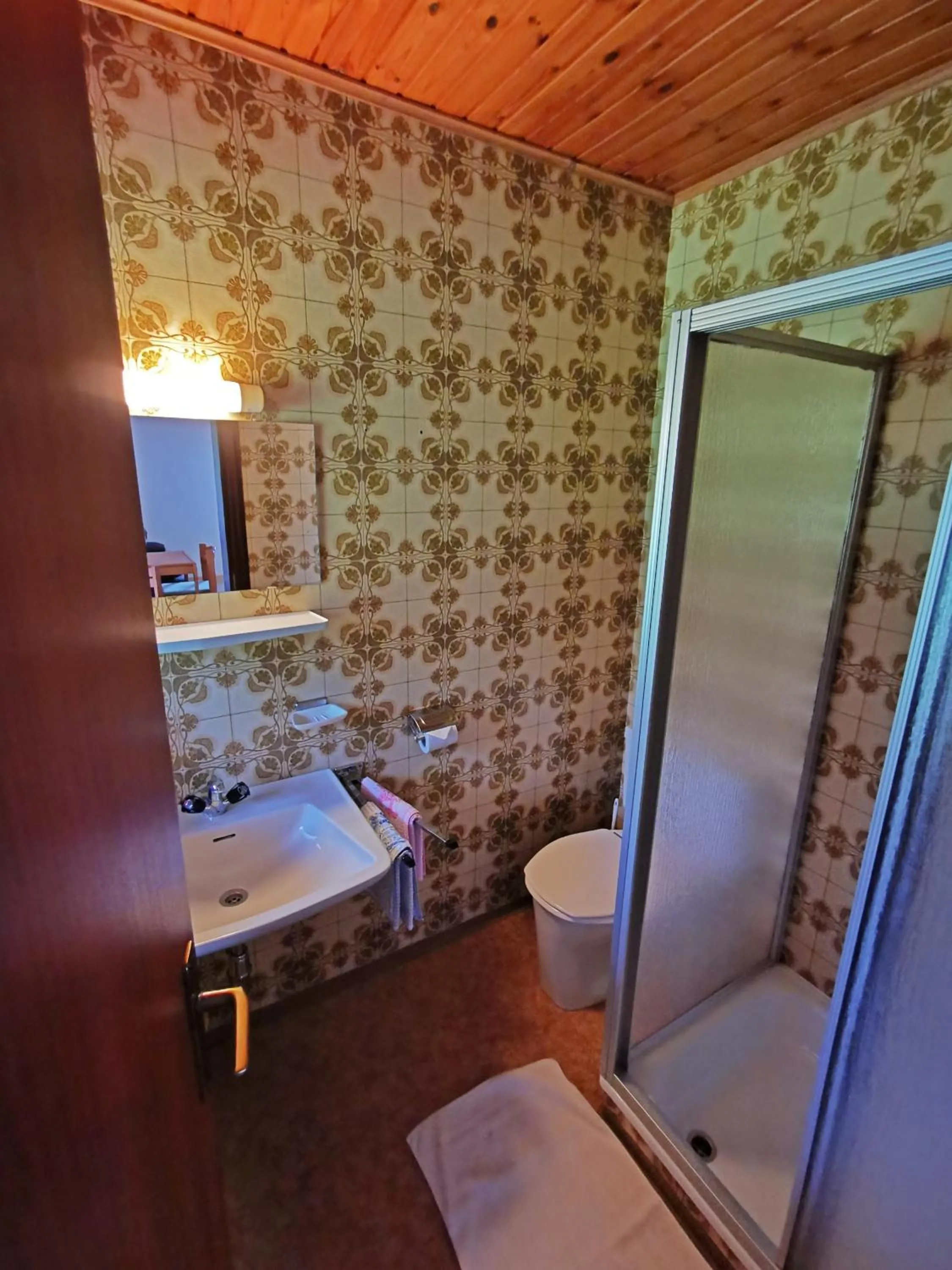 Bathroom in Ferienwohnung Gertrud Dallavia