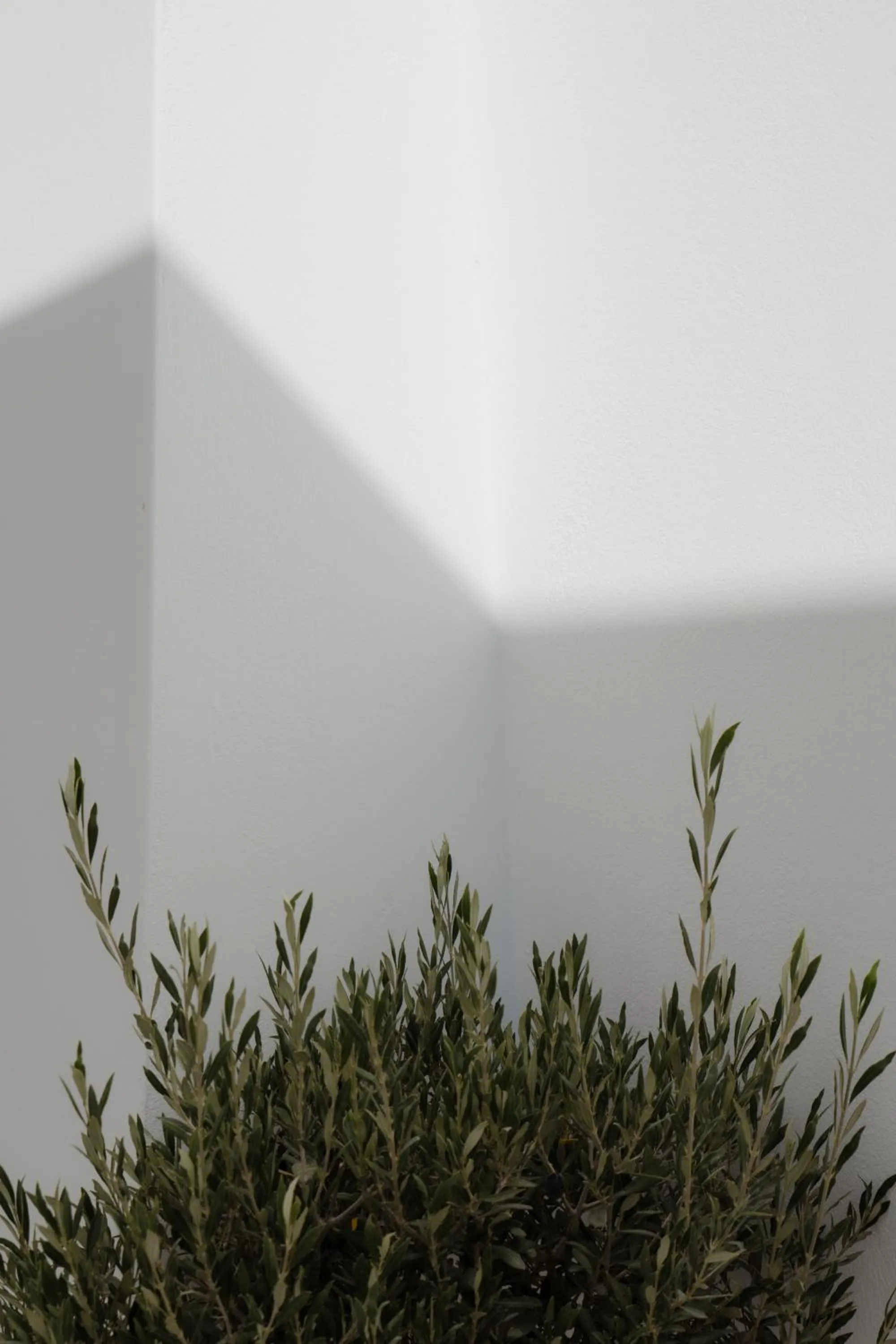 Decorative detail in Santorini Princess Spa Hotel