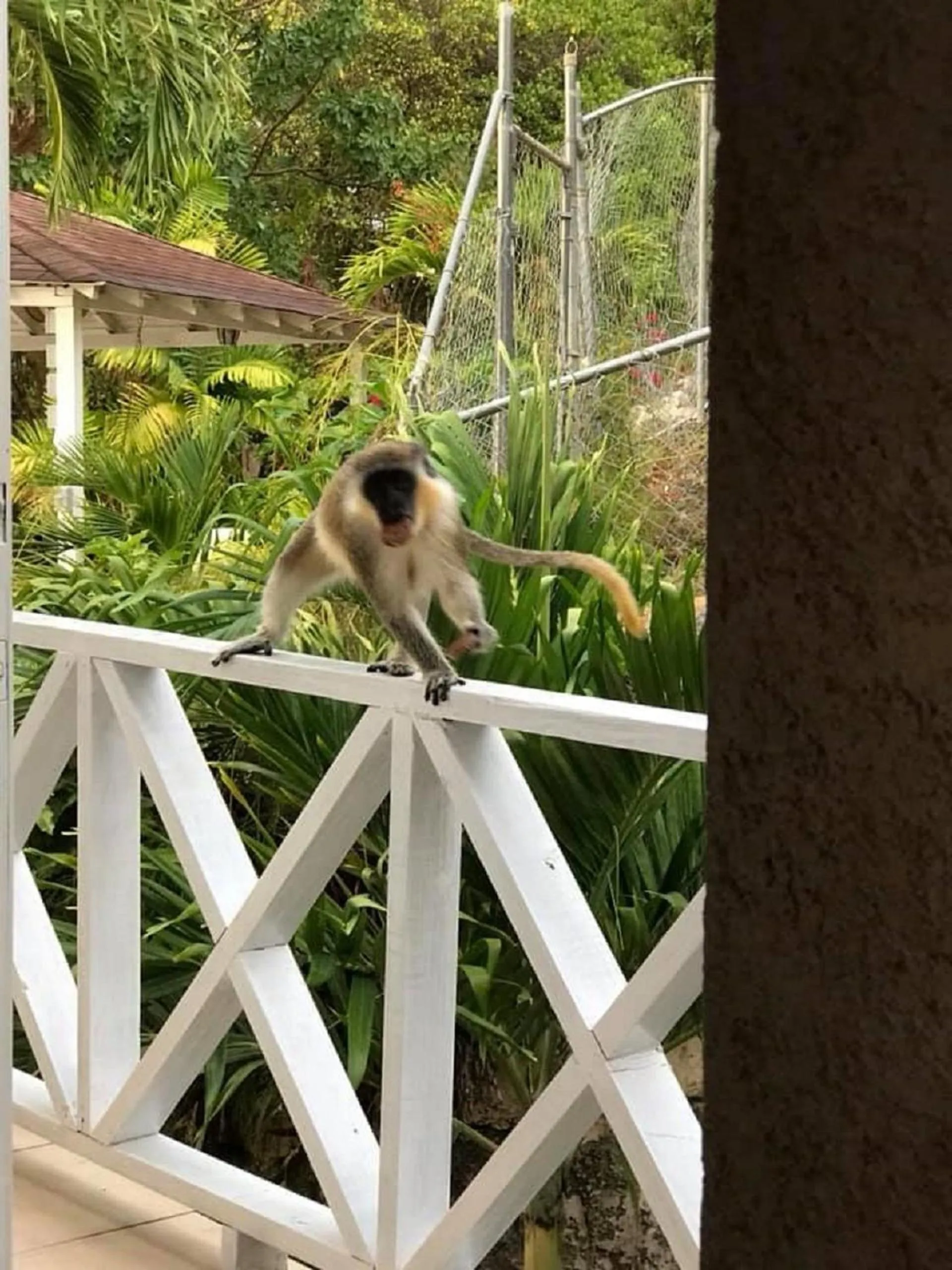 Natural landscape in Sea Symphony Villa