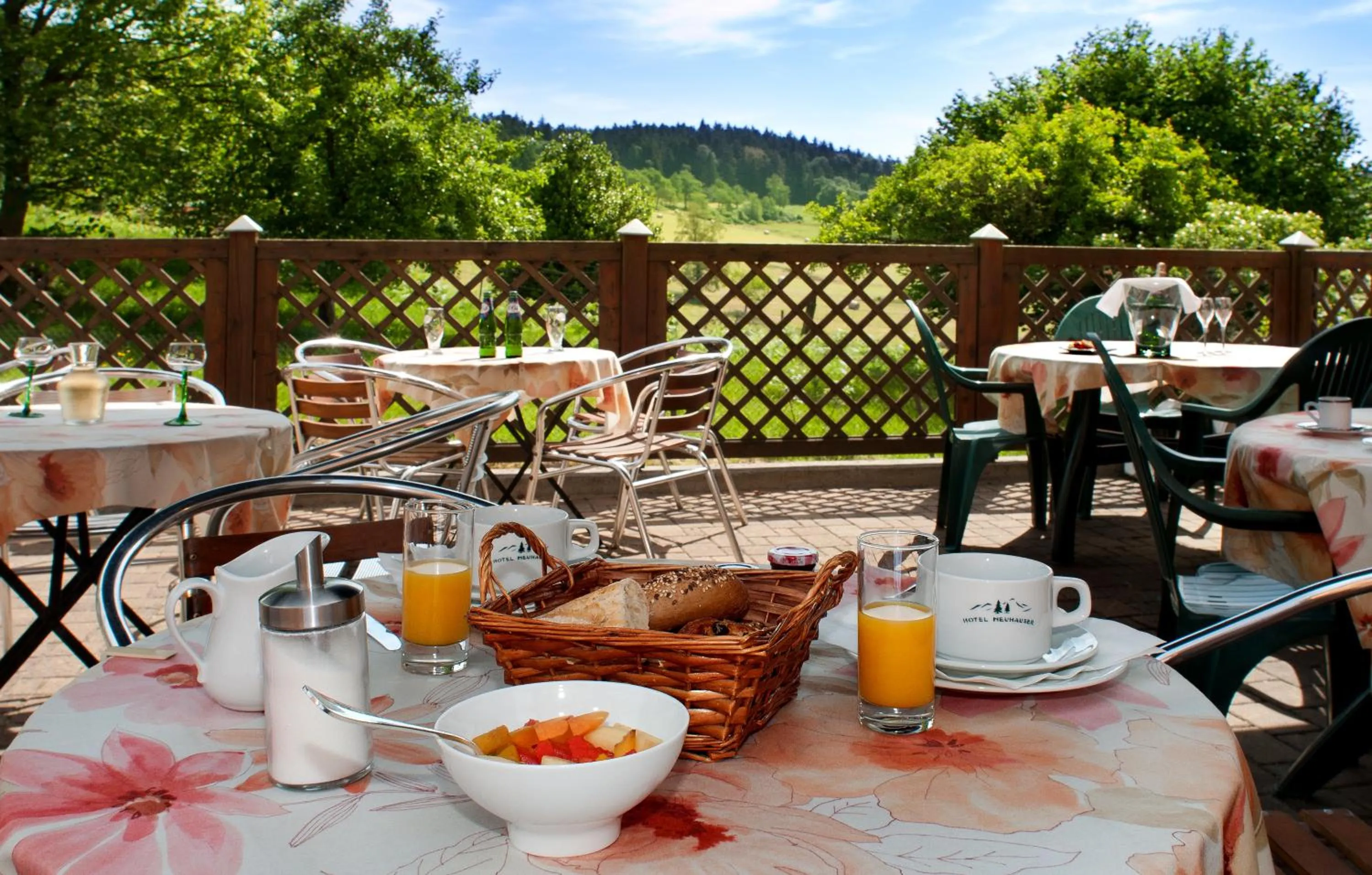 Balcony/Terrace in Logis Hôtel Restaurant Neuhauser
