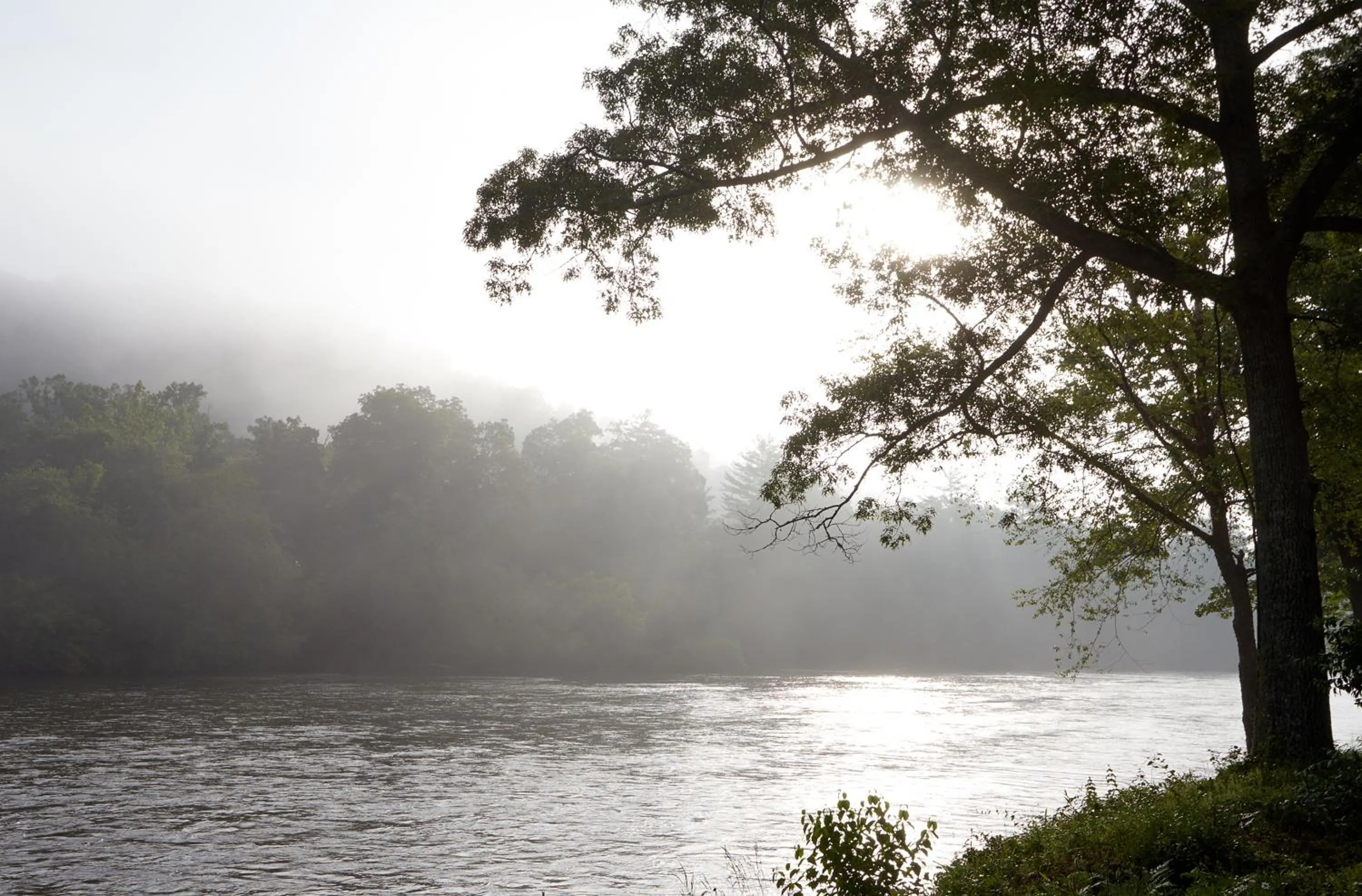Natural landscape in Asheville River Cabins