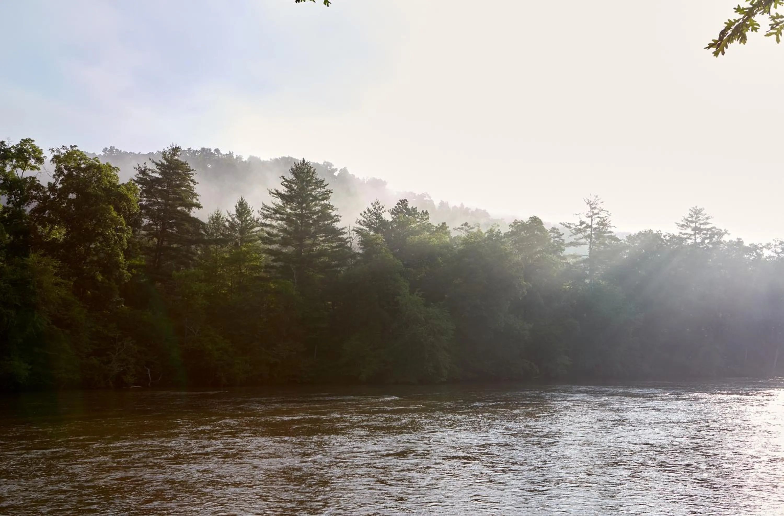 Natural landscape in Asheville River Cabins