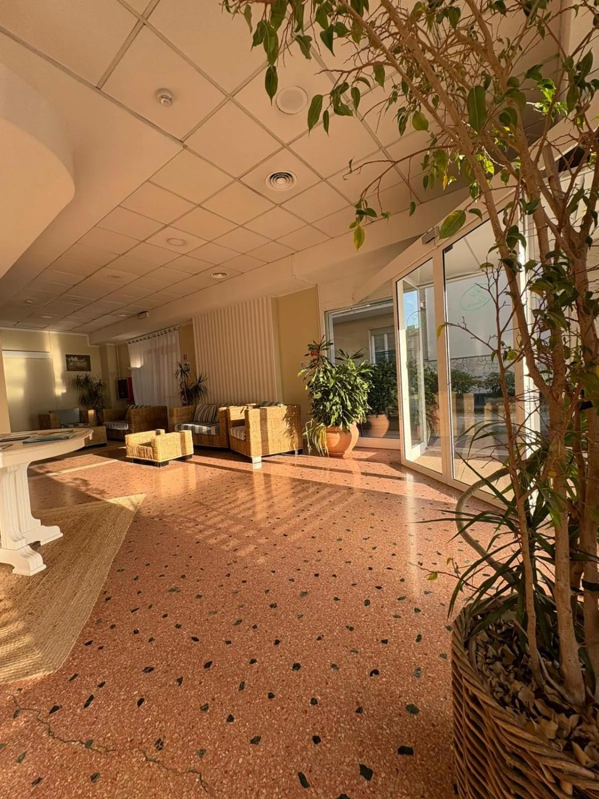 Lobby or reception in Hotel Elisabetta