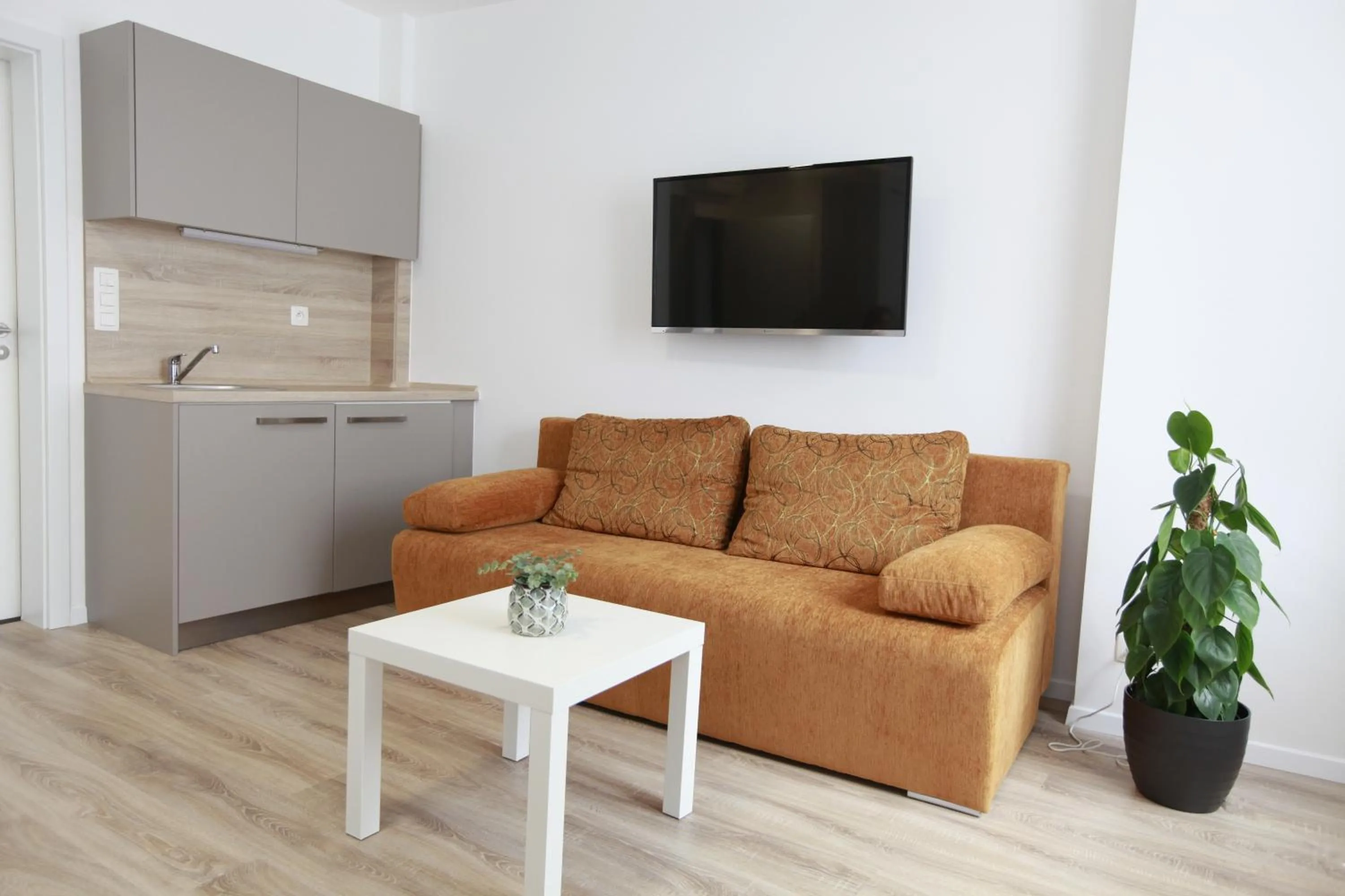 TV and multimedia in City Center Best Place Apartments