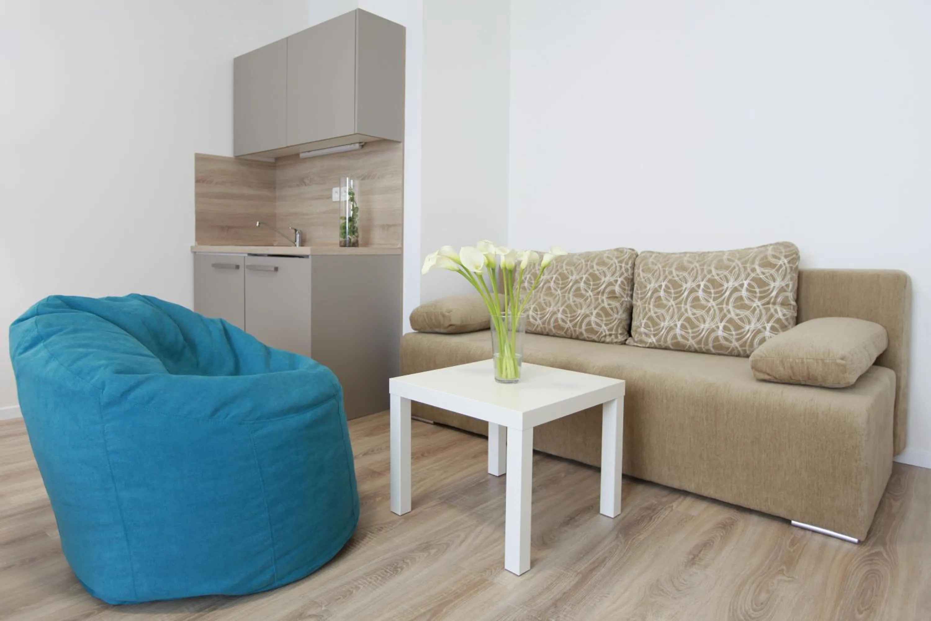 Kitchen or kitchenette in City Center Best Place Apartments