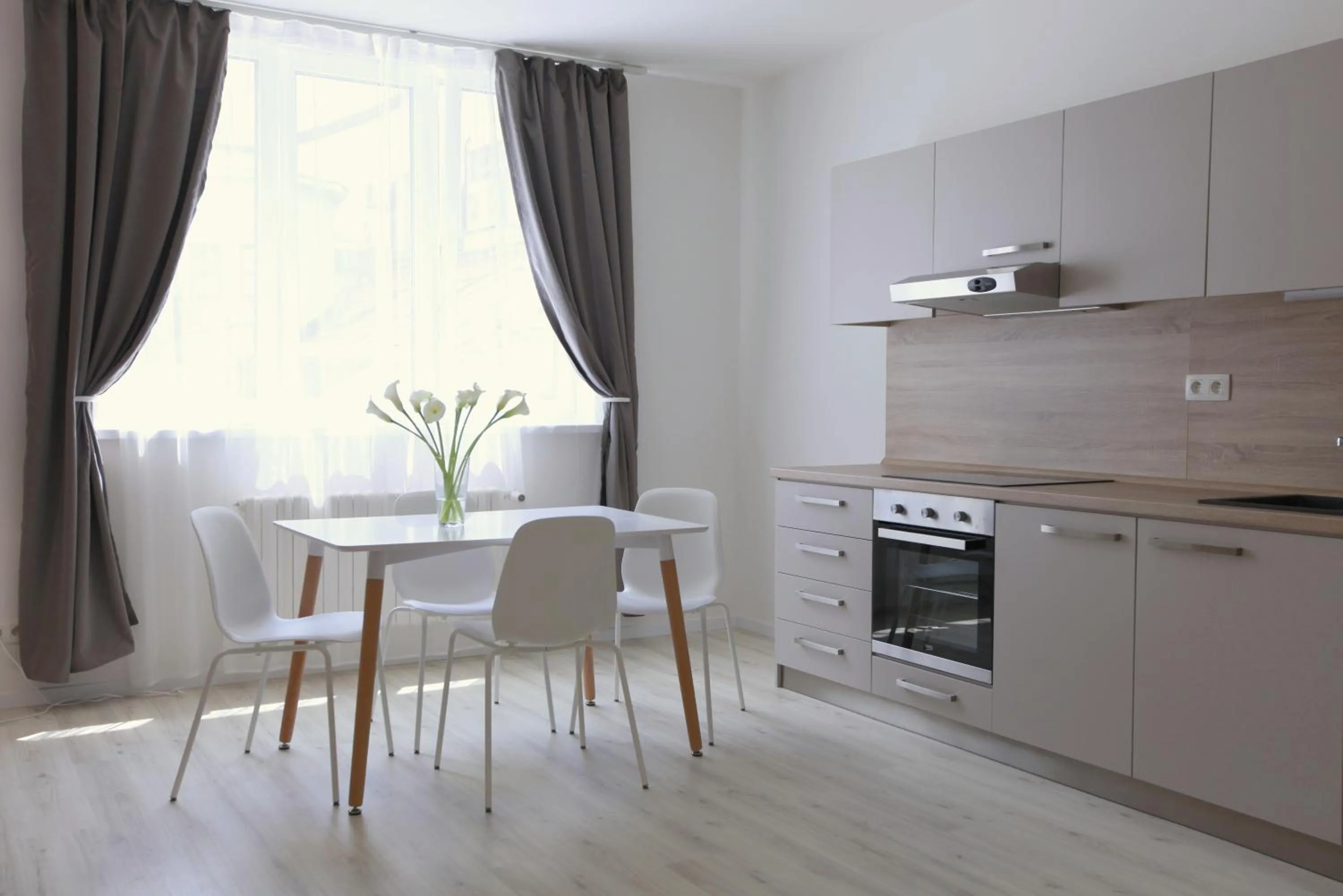 Kitchen or kitchenette in City Center Best Place Apartments