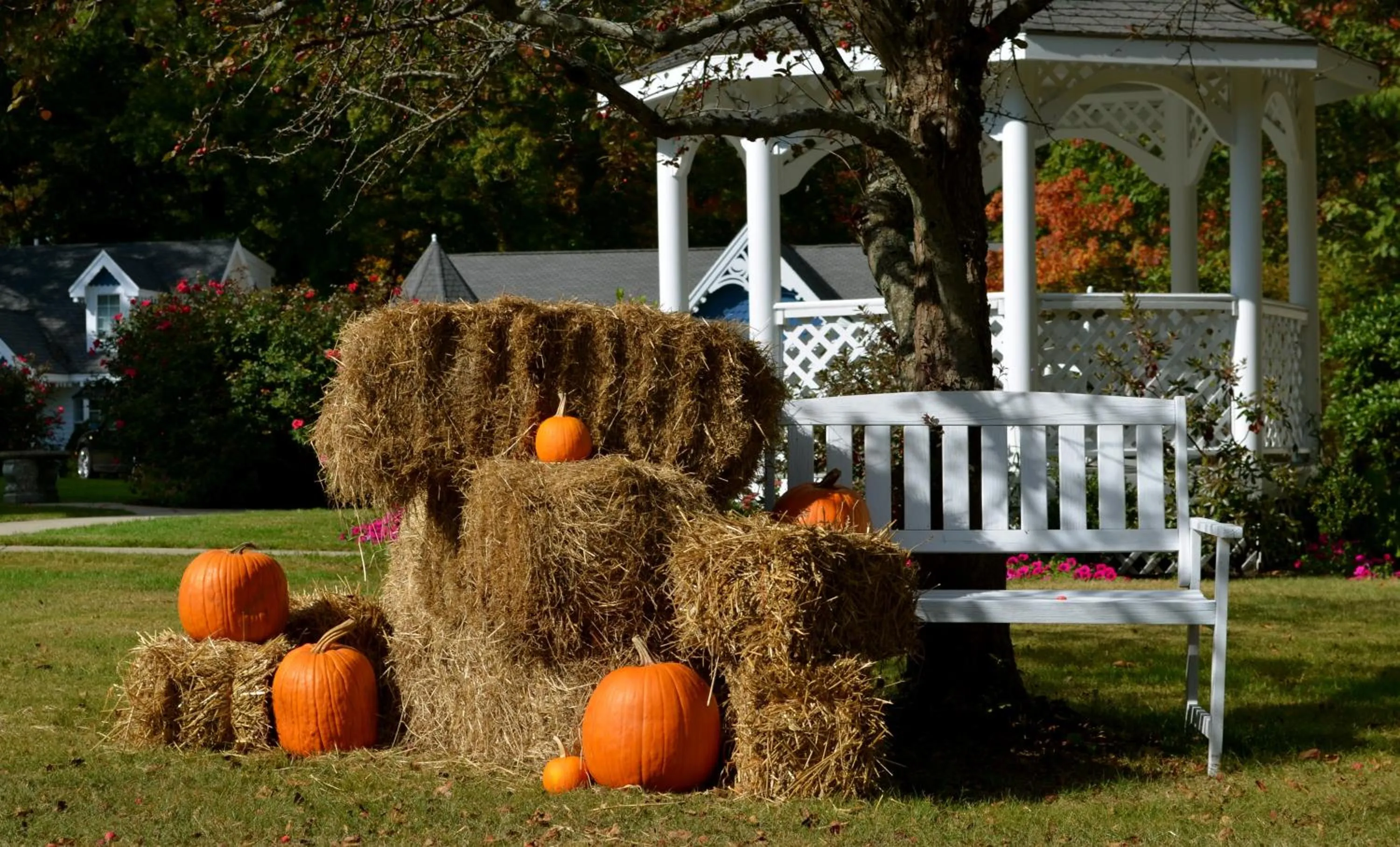 Area and facilities in Victoria Inn