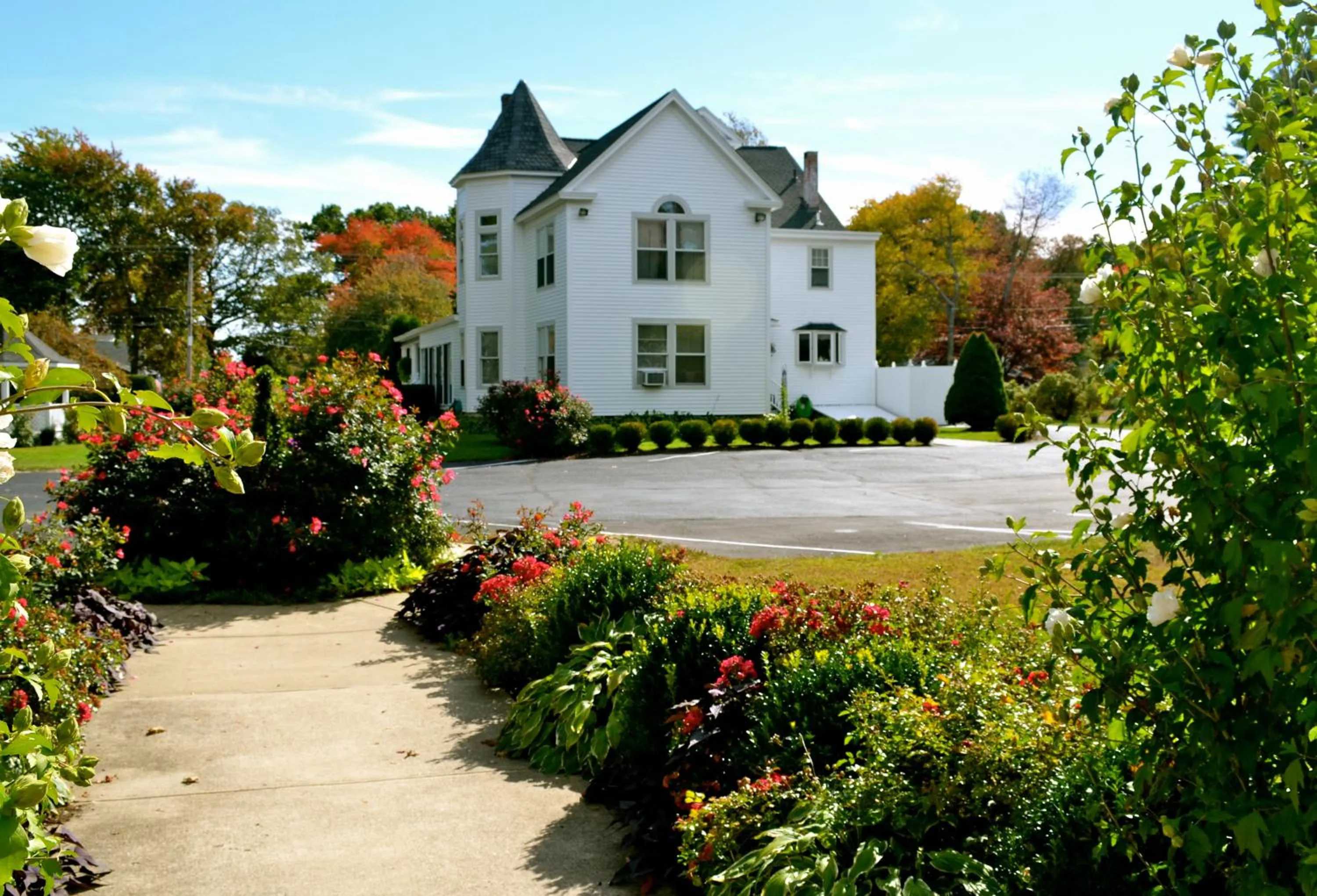 Area and facilities in Victoria Inn