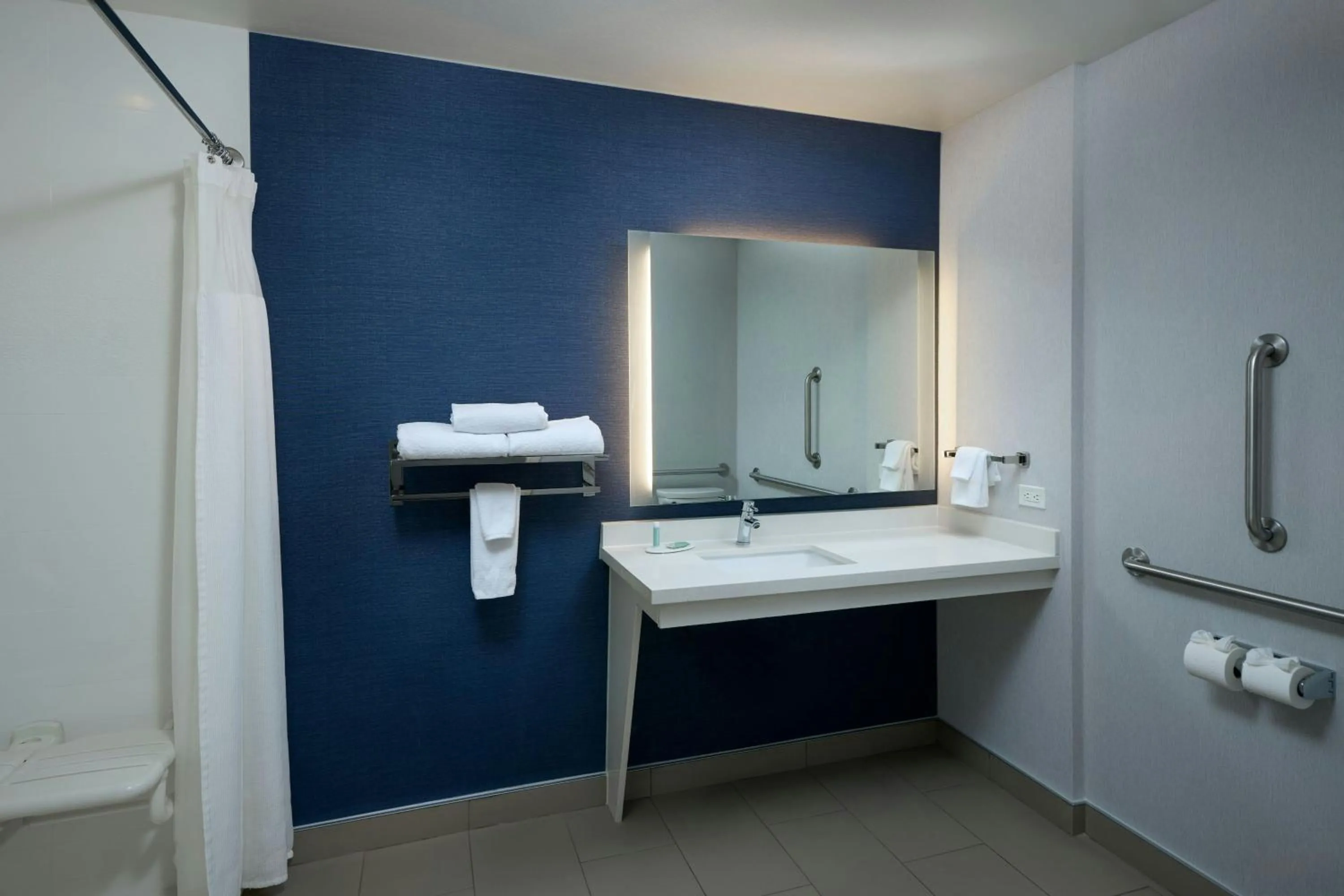 Bathroom in Fairfield Inn & Suites by Marriott Denver Downtown