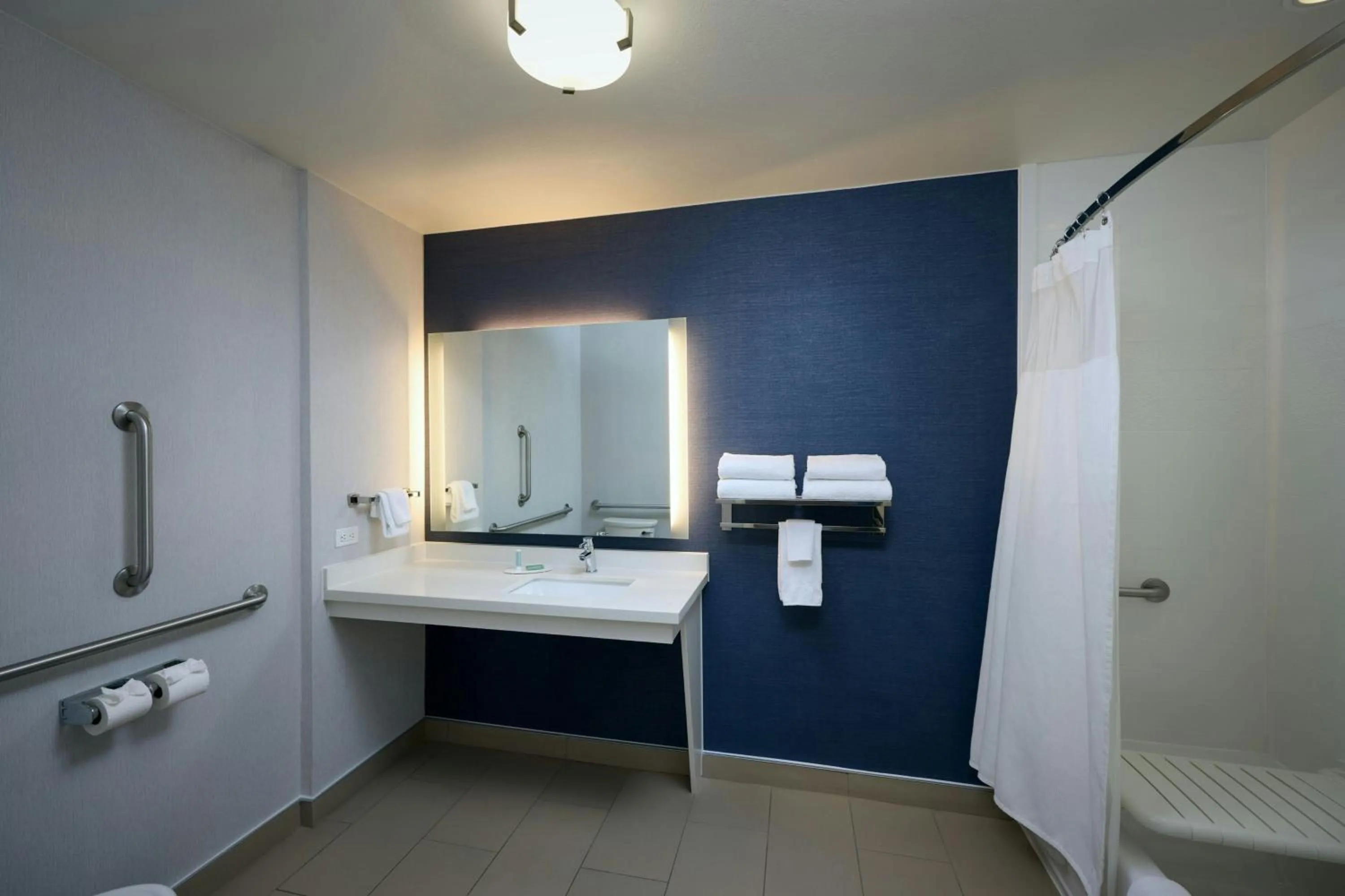 Bathroom in Fairfield Inn & Suites by Marriott Denver Downtown