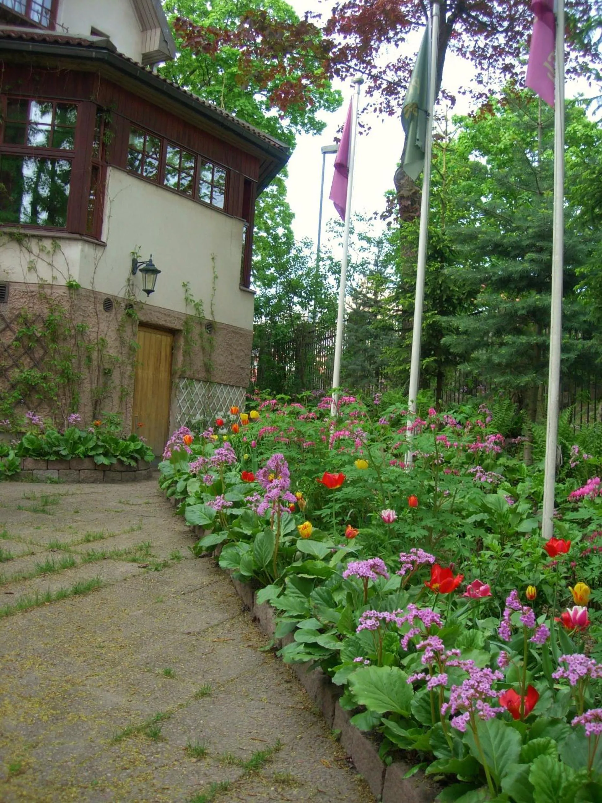 Garden in Park Hotel Turku