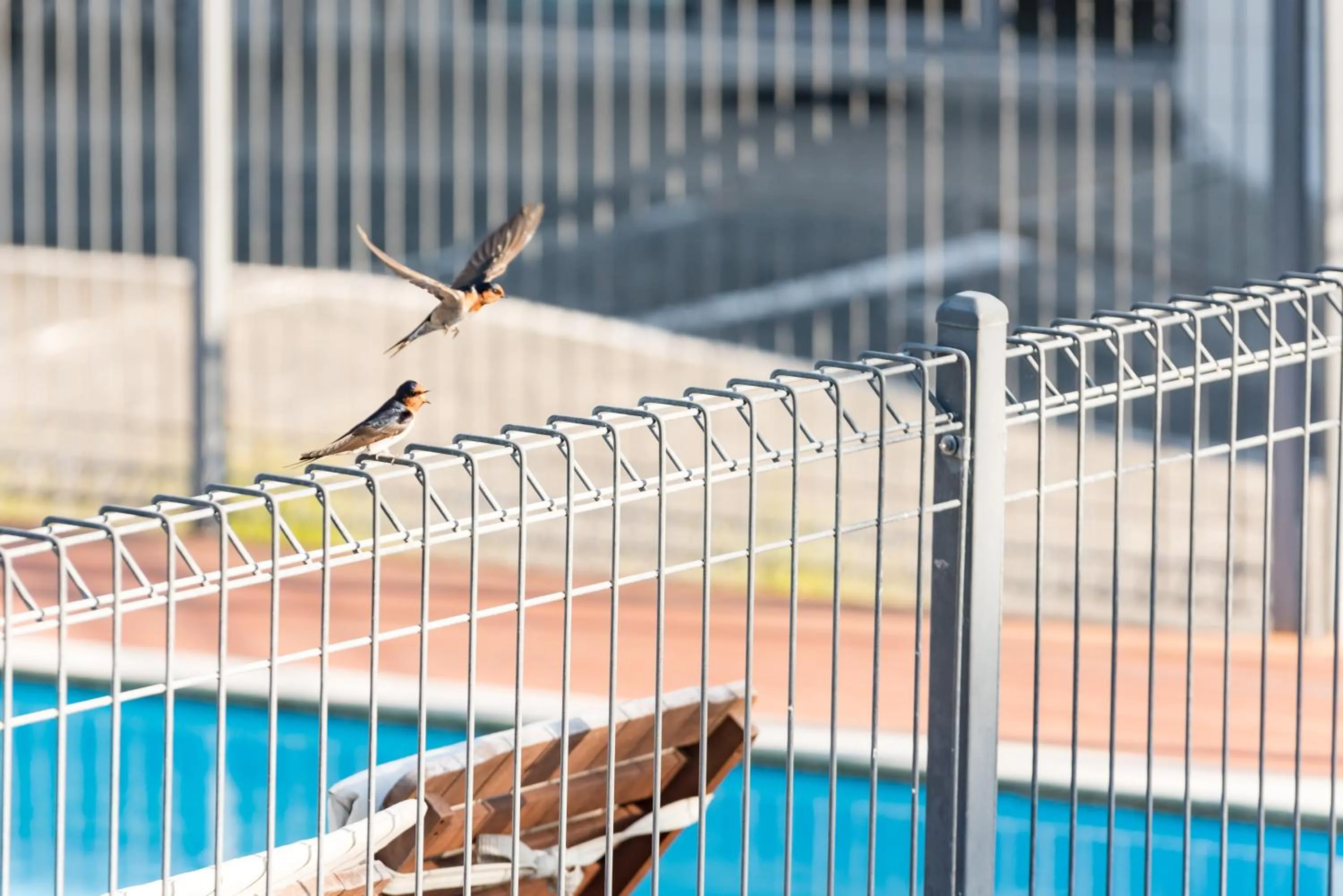 Pool view in Averill Court Motel