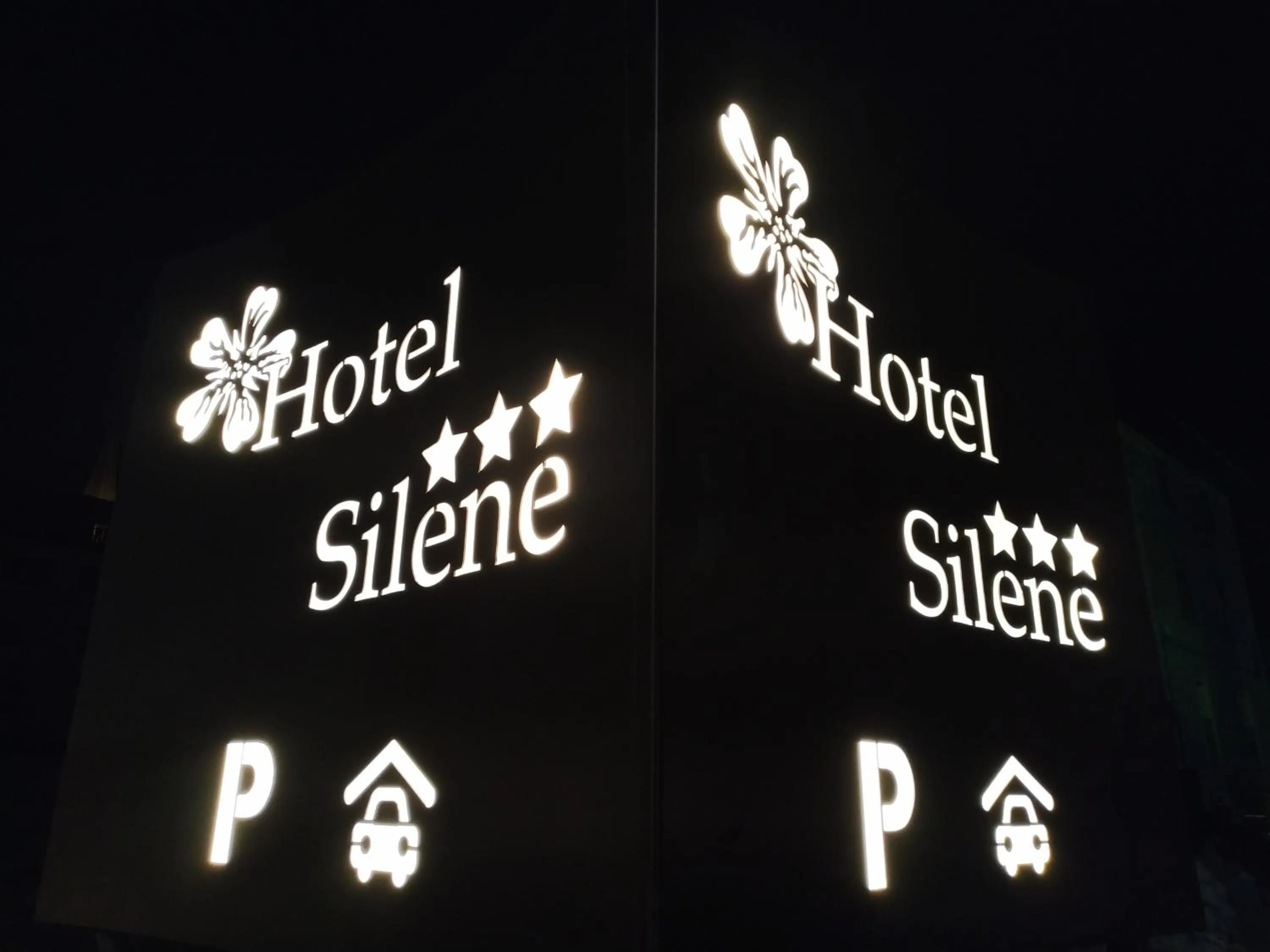 Night in Hotel Silene Parking and Garage