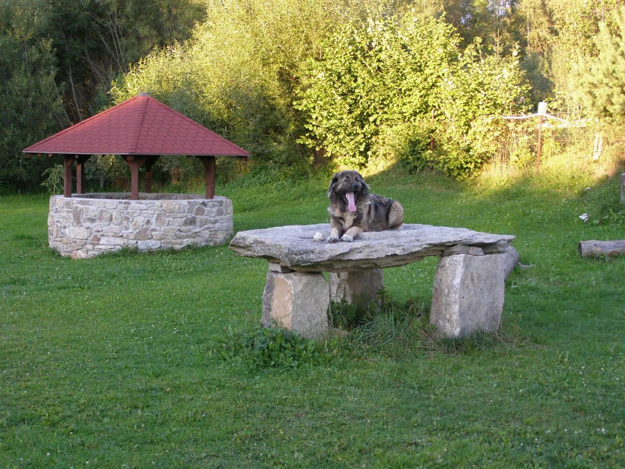 Area and facilities in Penzion u Kukačků