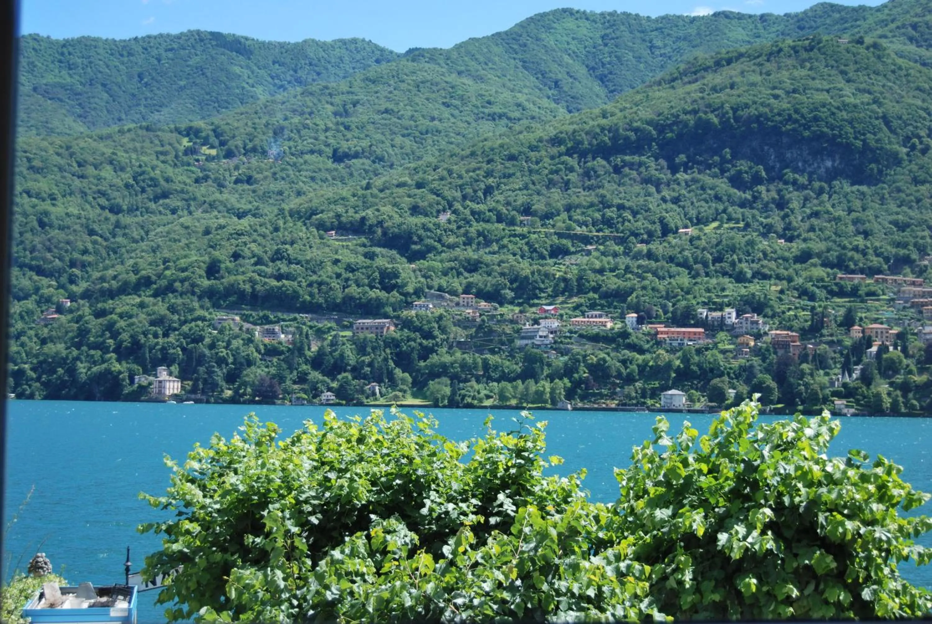 Natural landscape in Hotel Orso Bruno