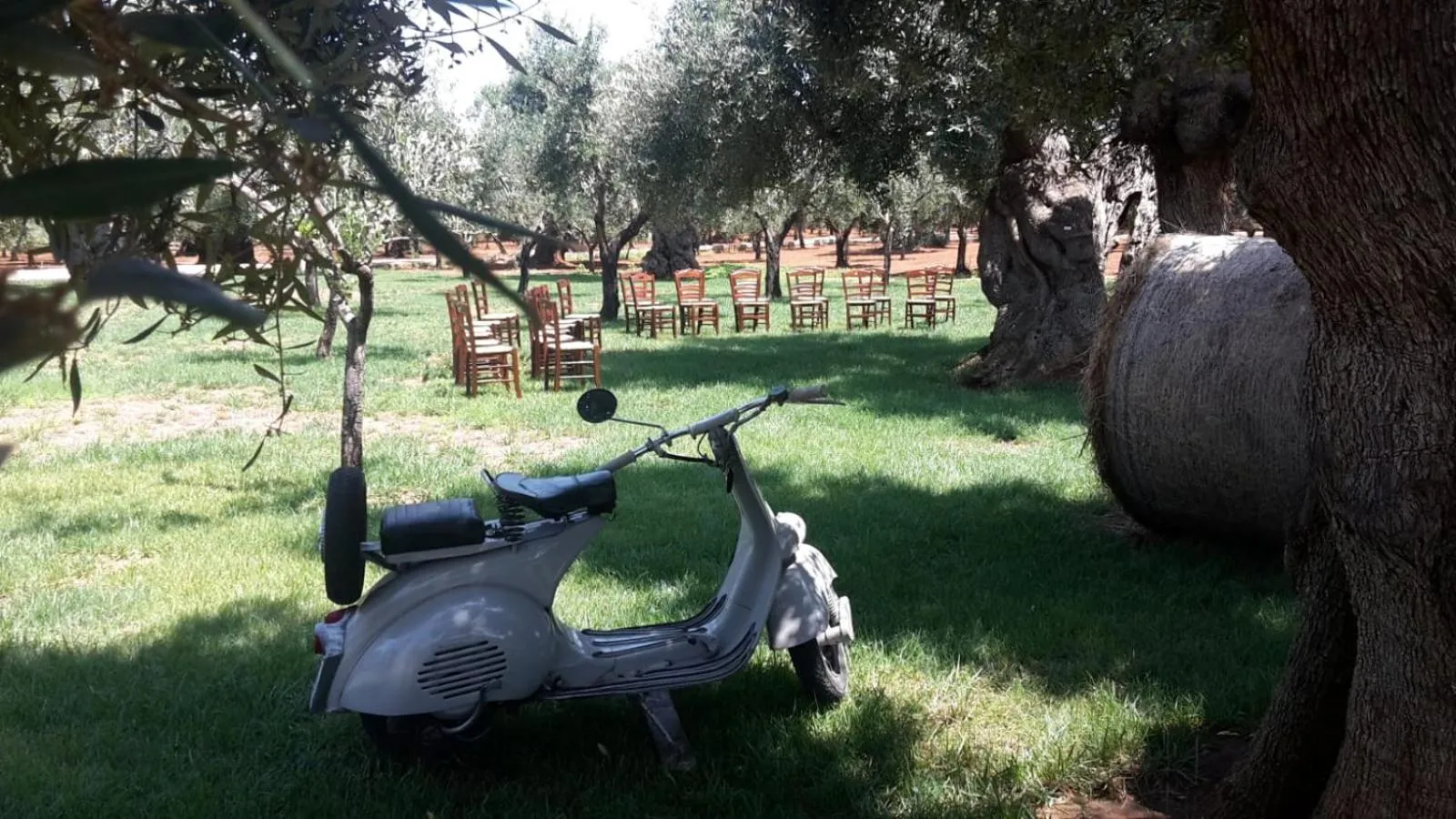 Garden in Masseria San Martino