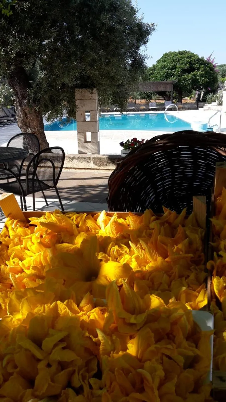 Swimming pool in Masseria San Martino