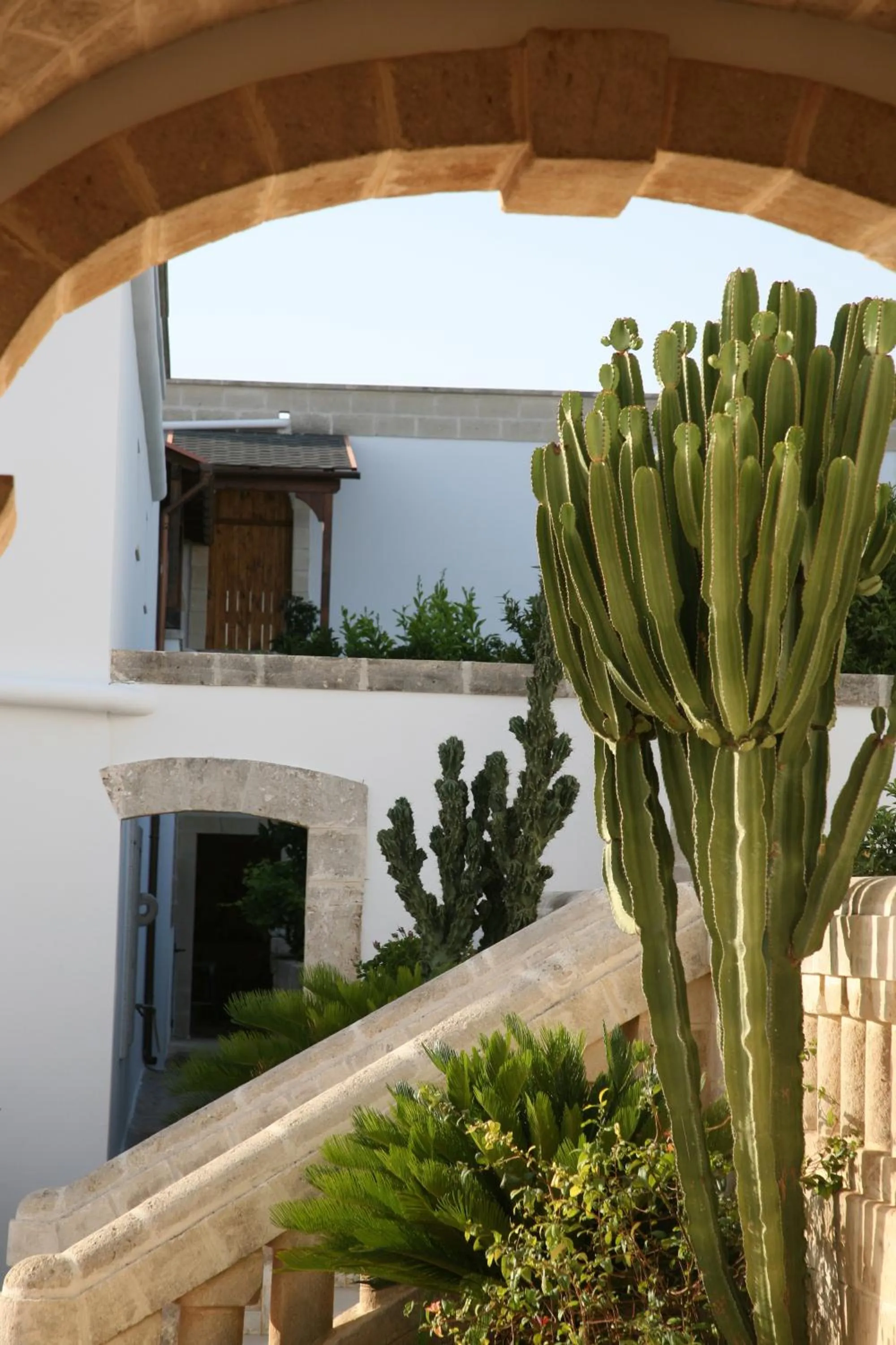Balcony/Terrace in Masseria San Martino