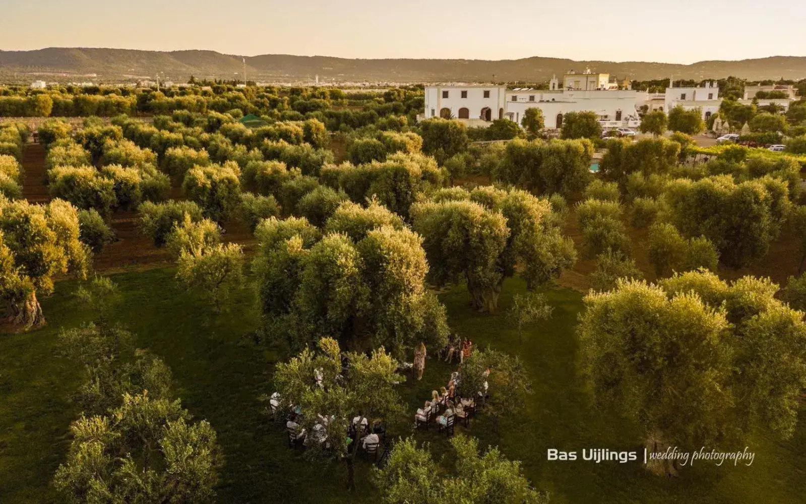 View (from property/room) in Masseria San Martino View (from property/room) in Masseria San Martino