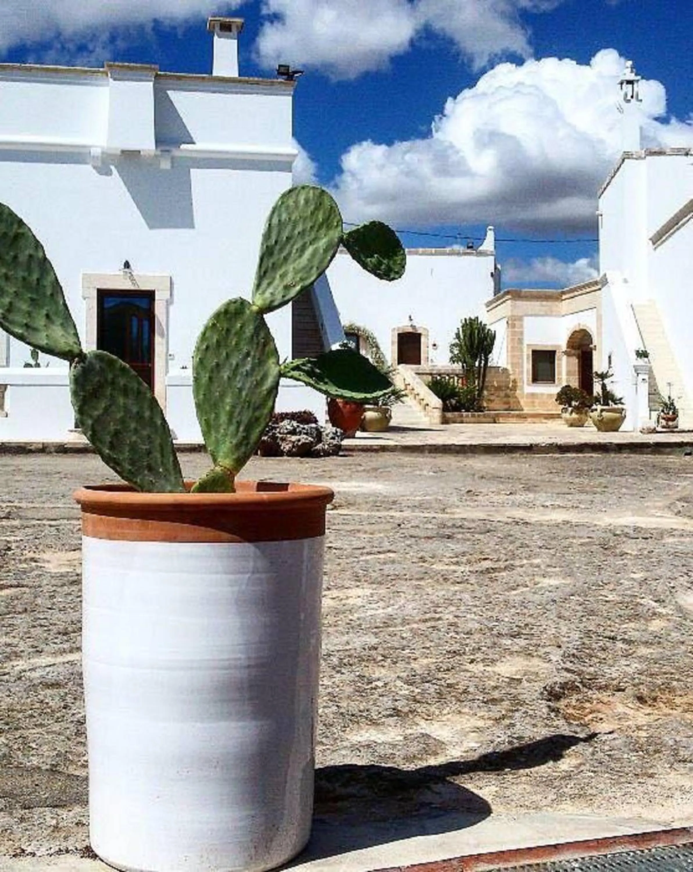 Other in Masseria San Martino