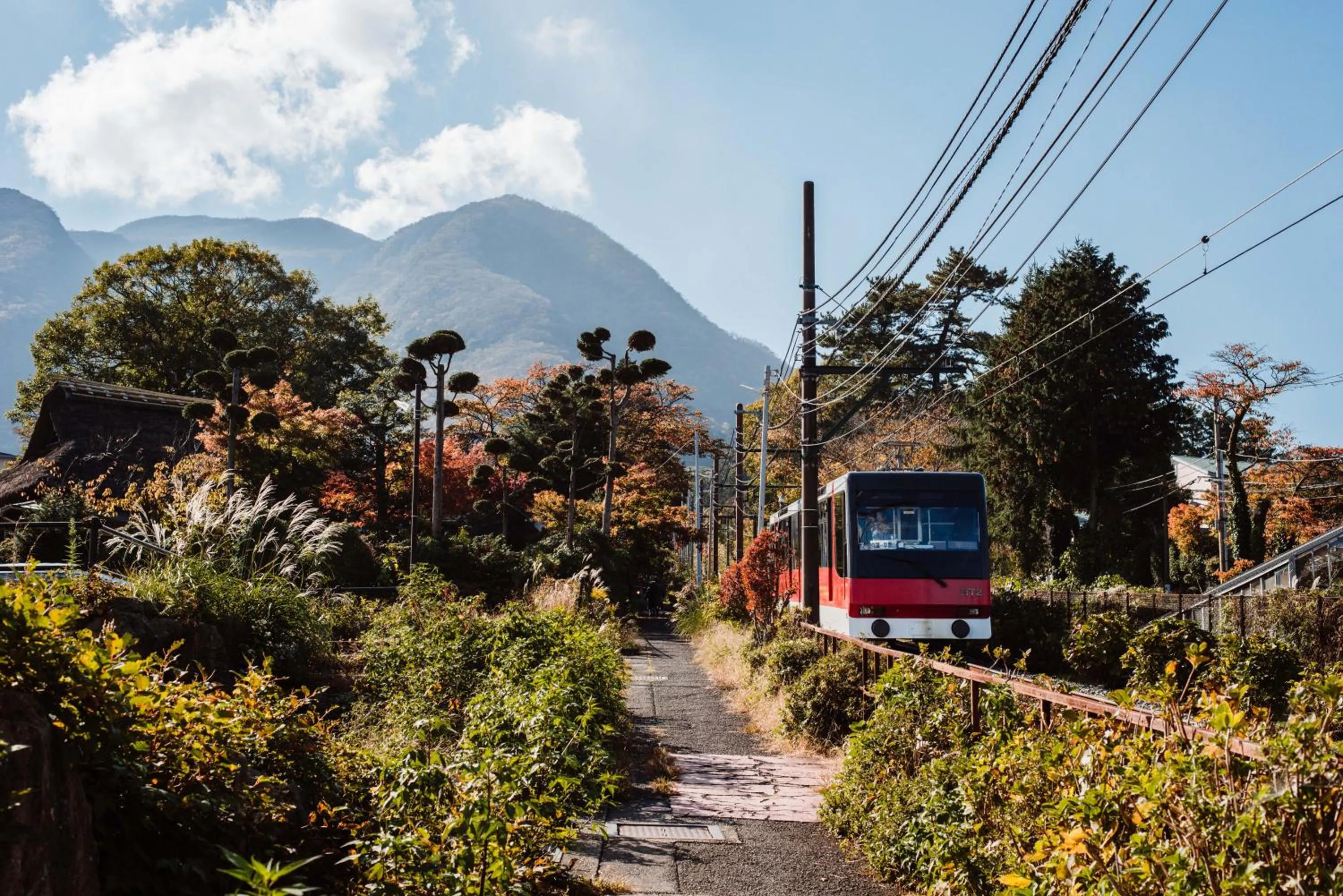 Natural landscape in Emblem Flow Hakone