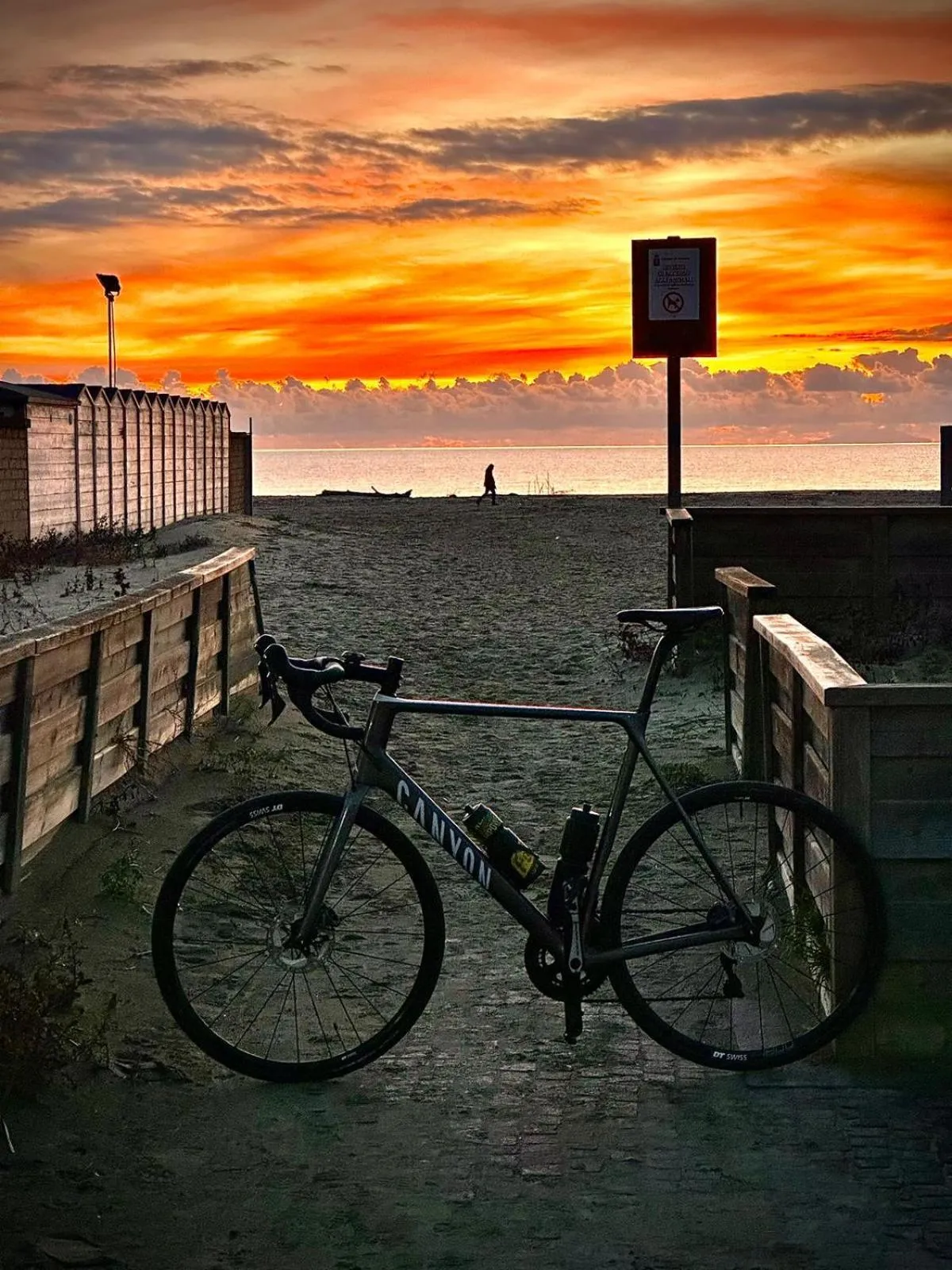 Natural landscape in Hotel Rosmarina