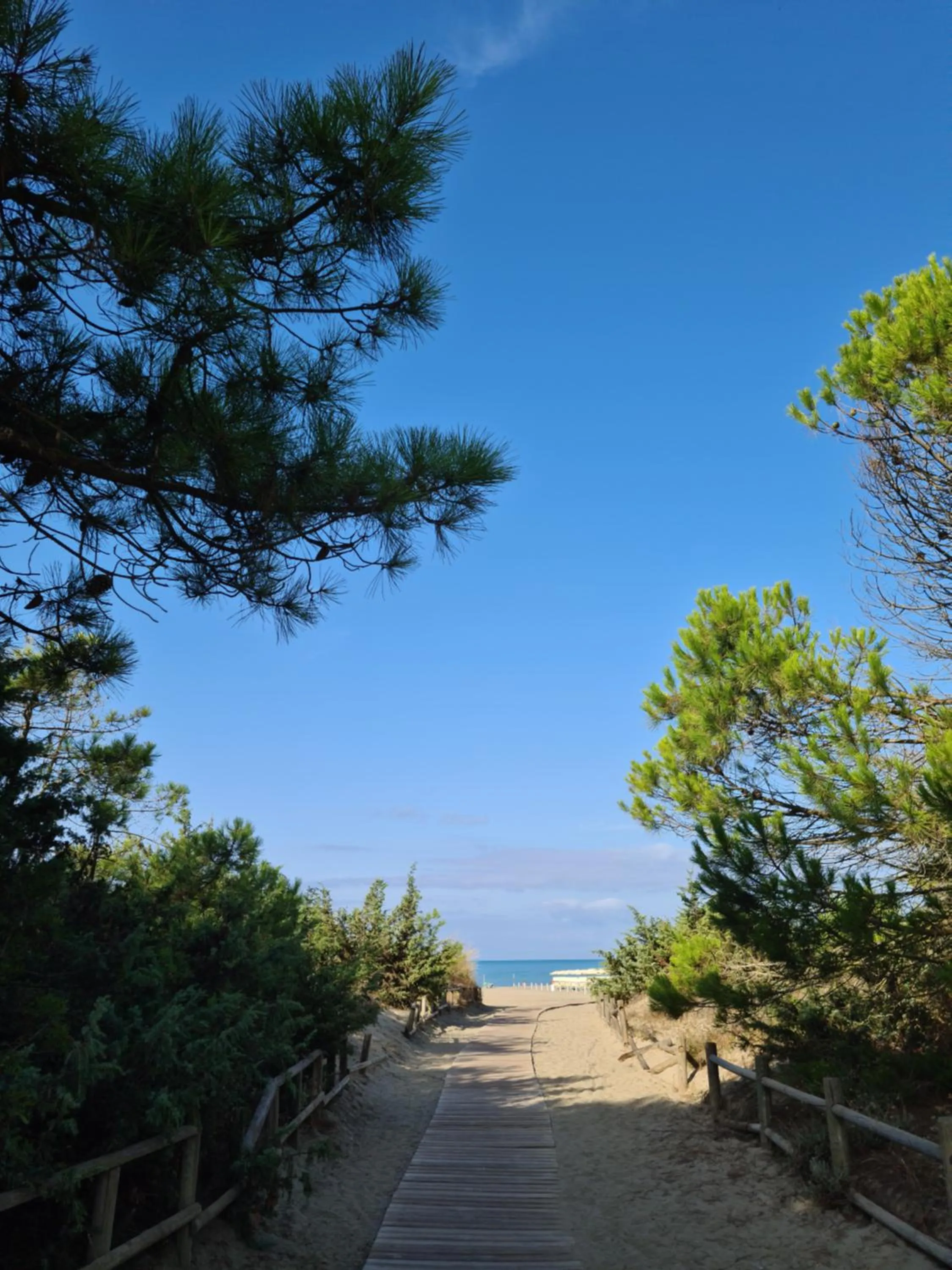 Sea view in Hotel Rosmarina