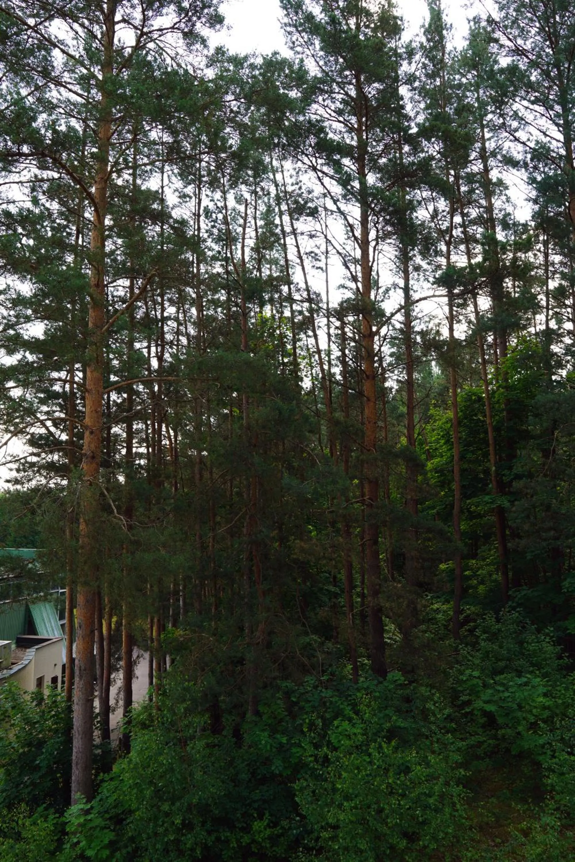 Day in Nykščio Namai & SPA