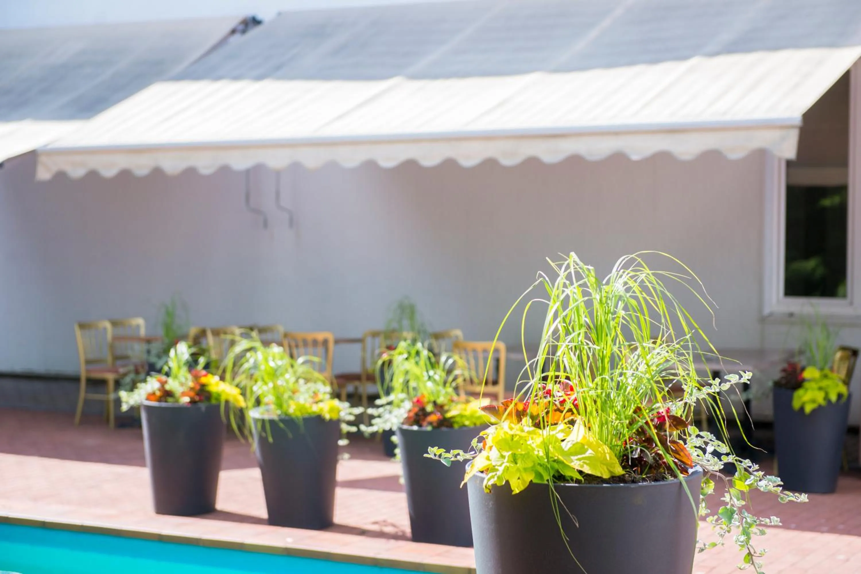 Restaurant/places to eat in Nykščio Namai & SPA