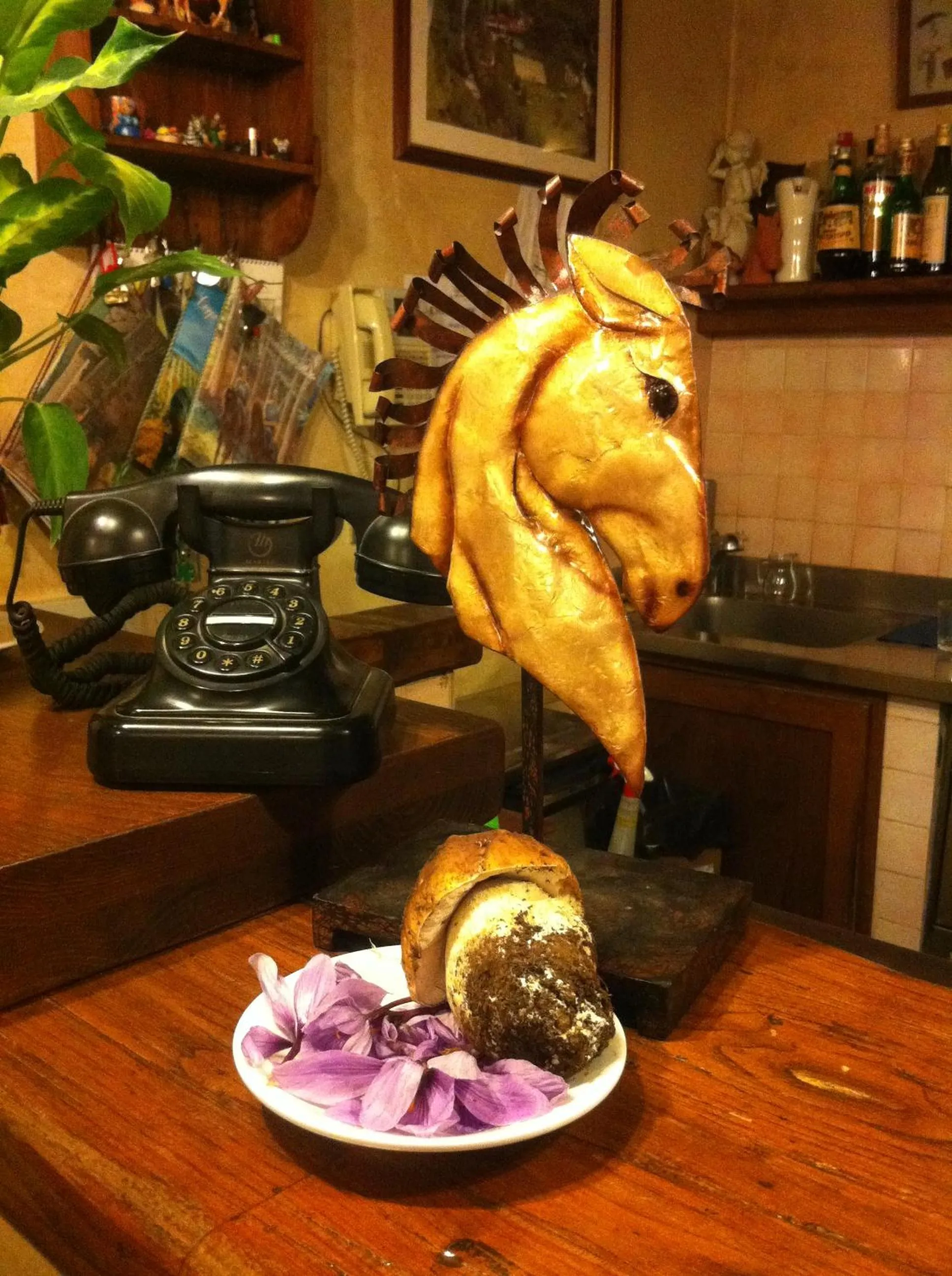 Area and facilities in Tenuta dei Cavalieri